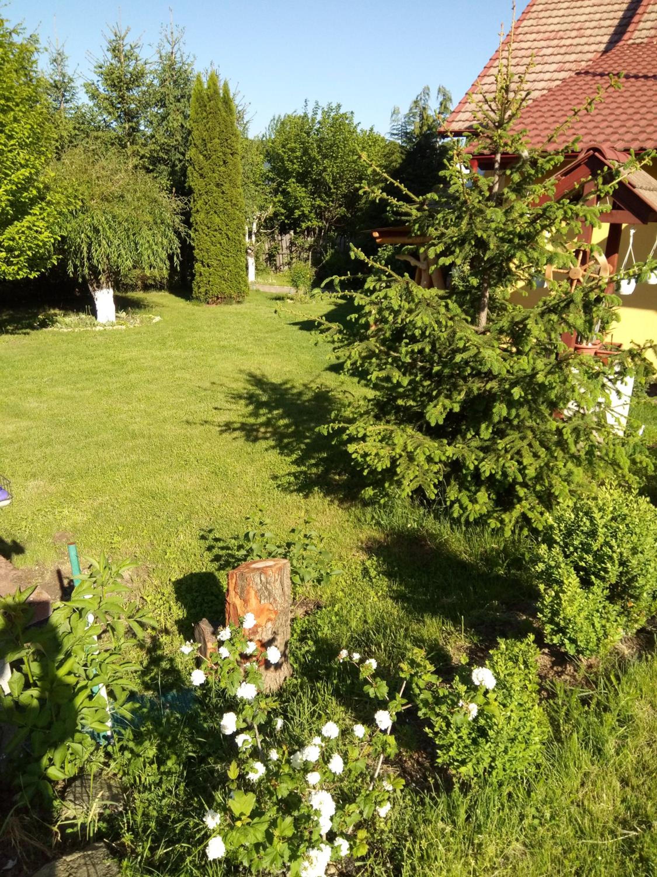 Photo 29