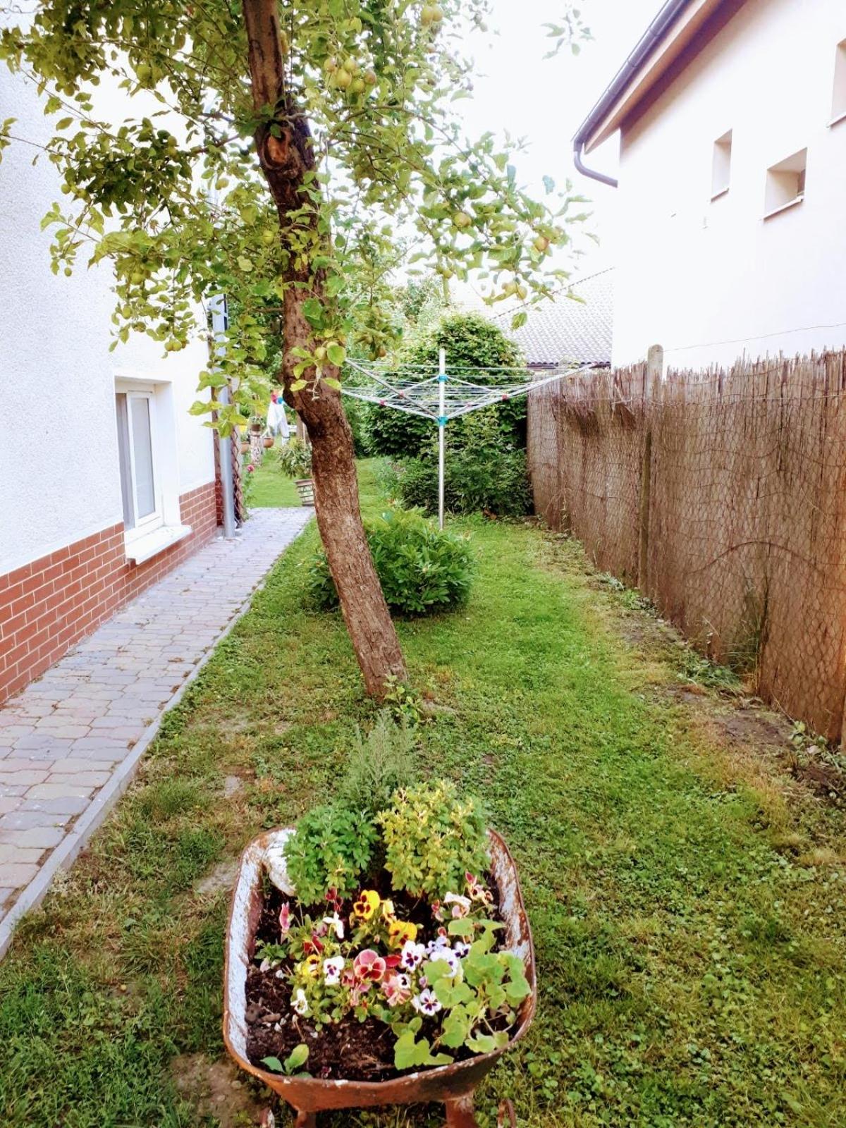 Photo 41
