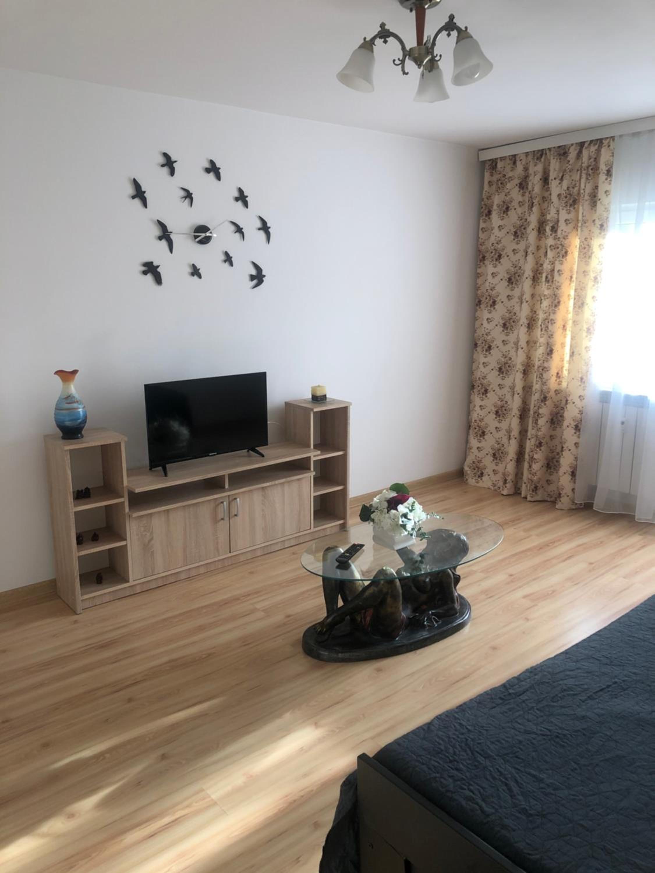 Apartament Kiseleff view 5