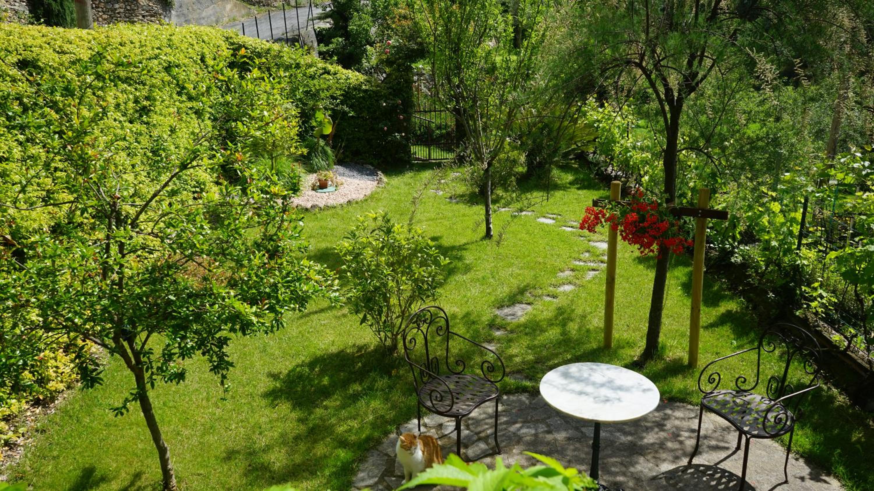 La libellula rossa view 5