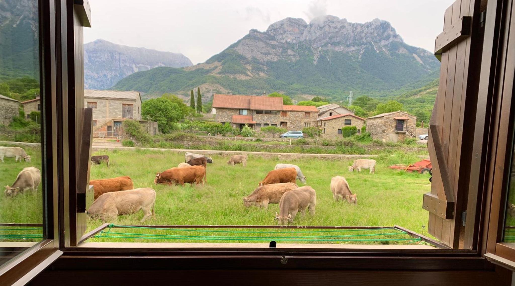 Duplex La Valle Ordesa-Ainsa view 4