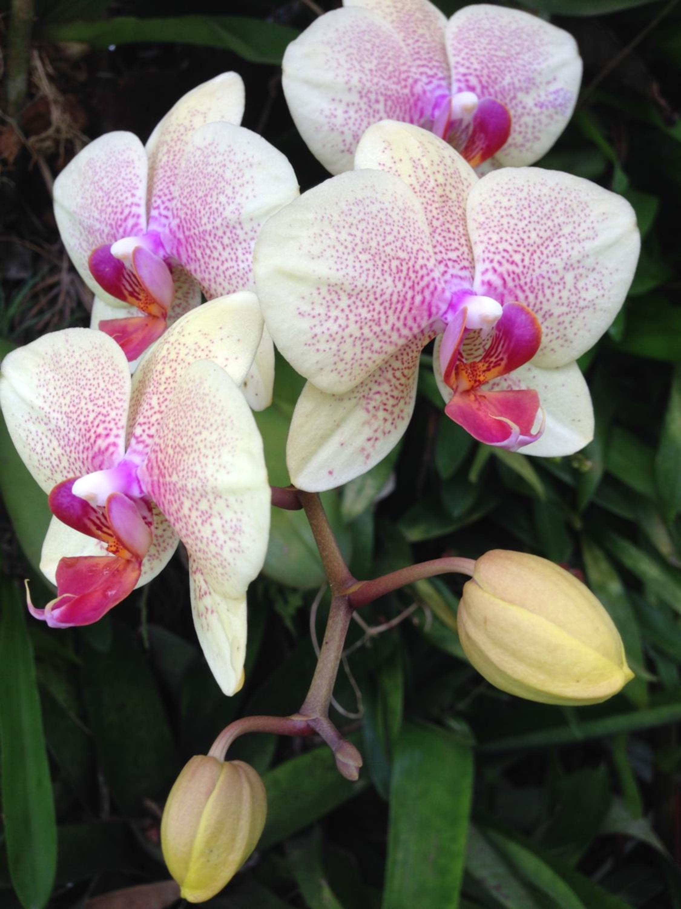 Casanapraia Bertioga