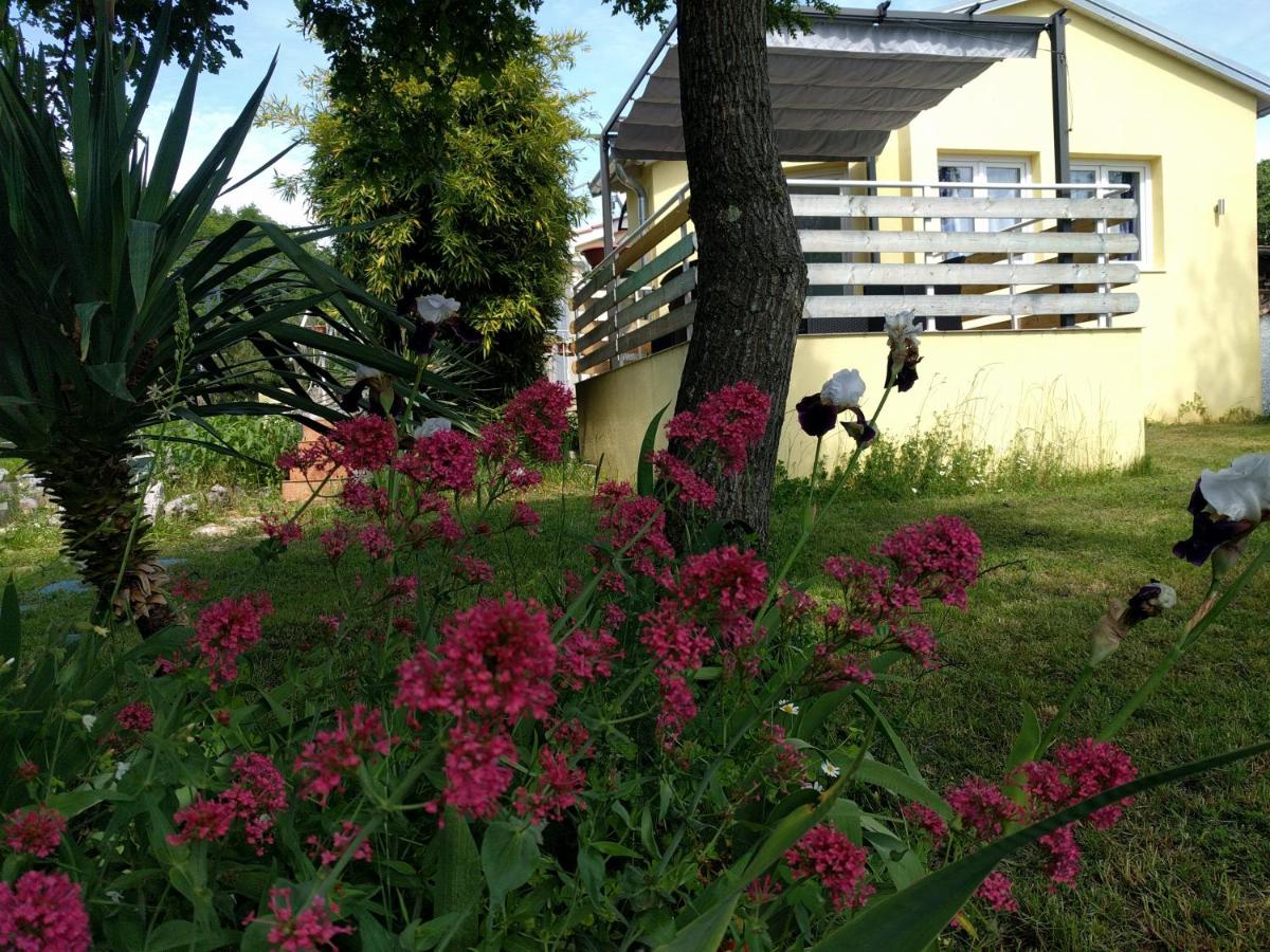 Photo 31