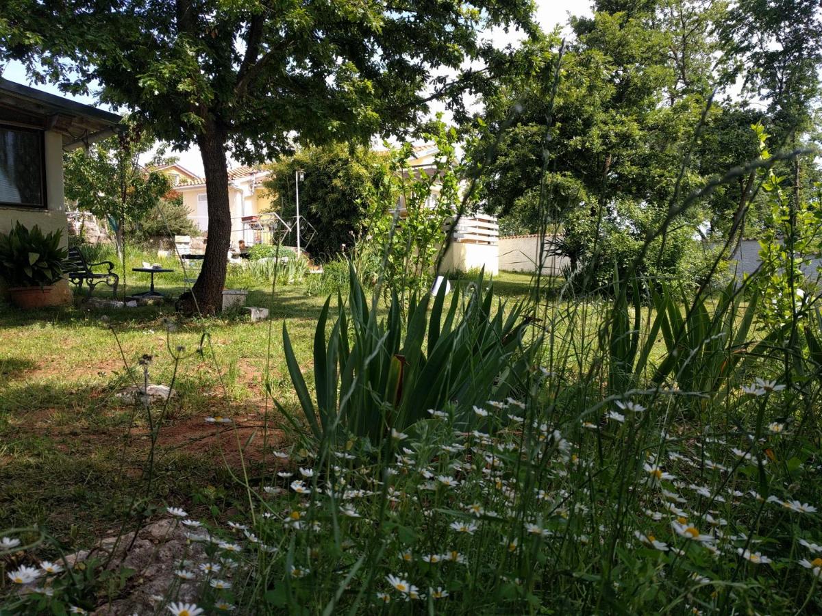 Photo 37