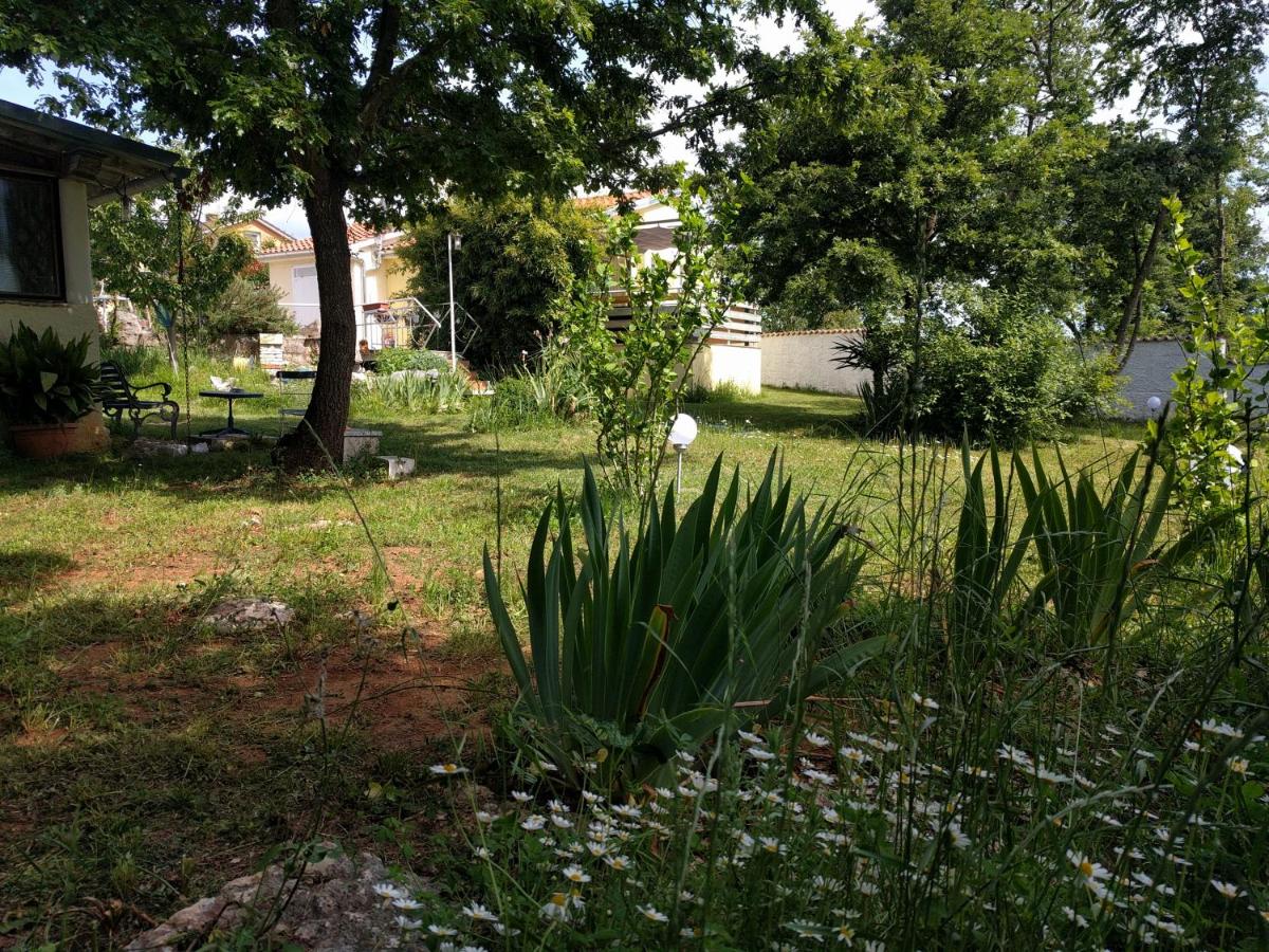 Photo 28