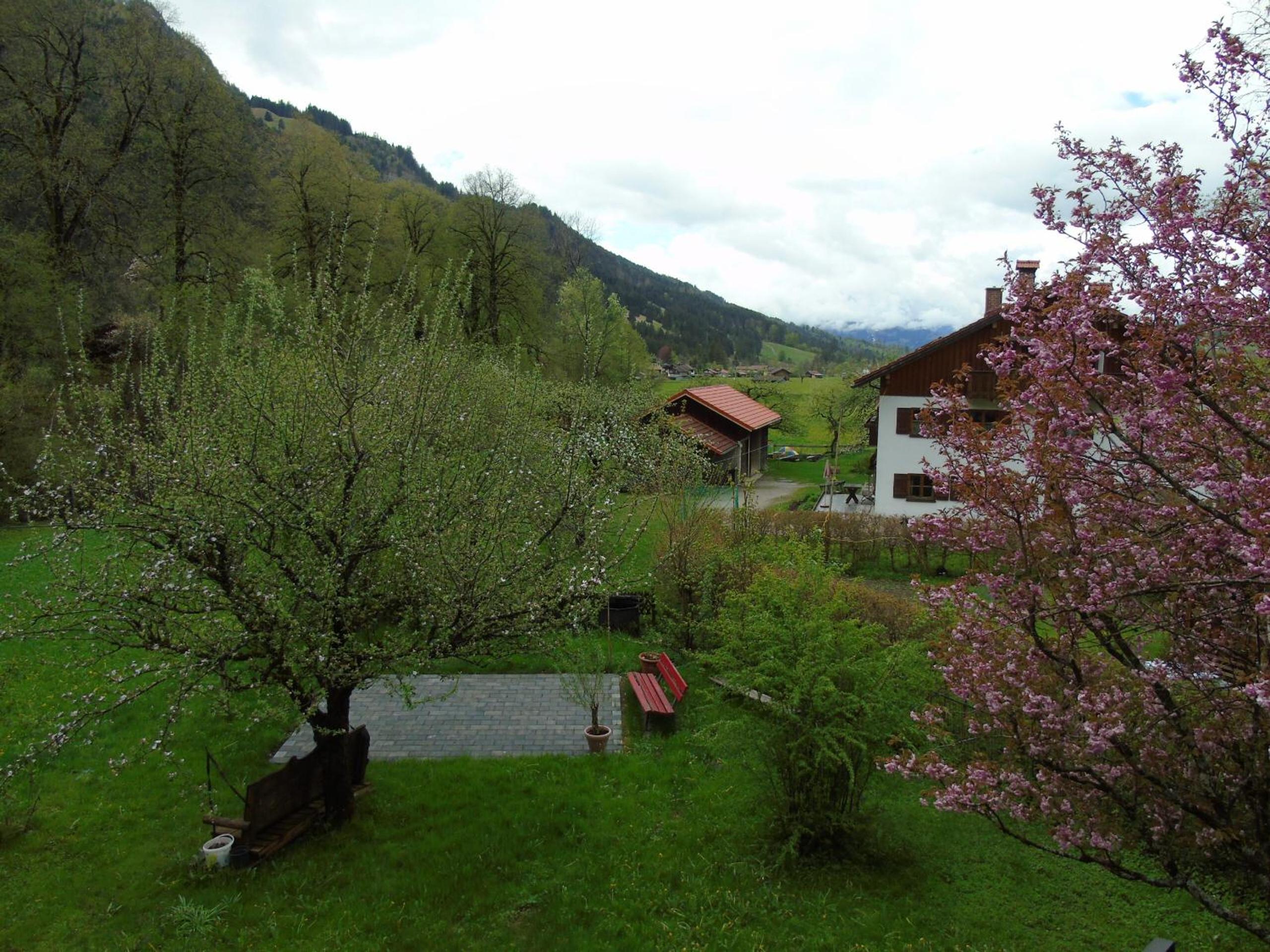 Photo 14