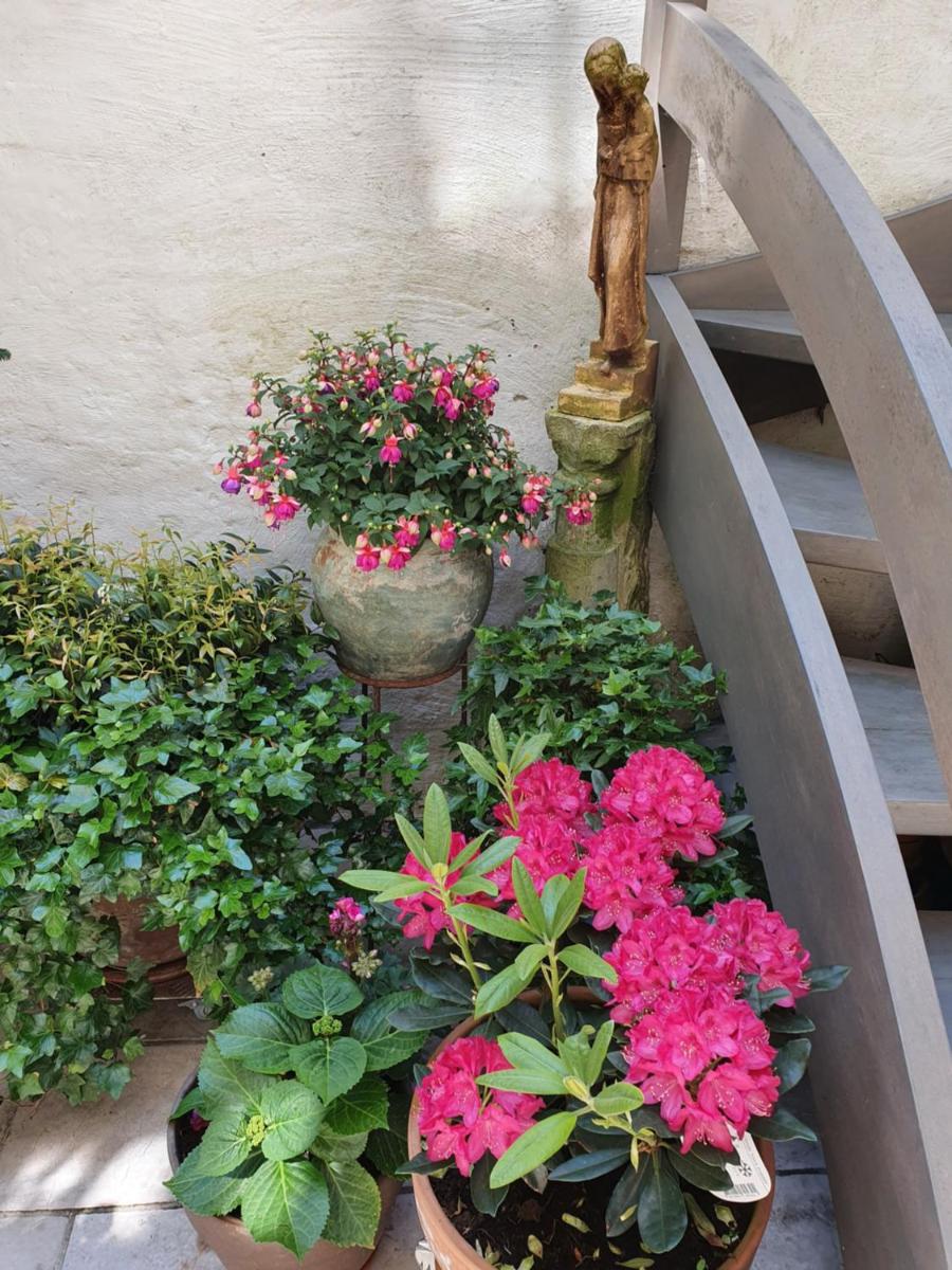 B&B Huyze Walburga