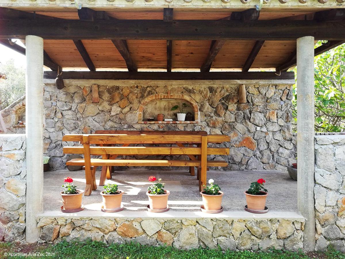 Apartments Zec