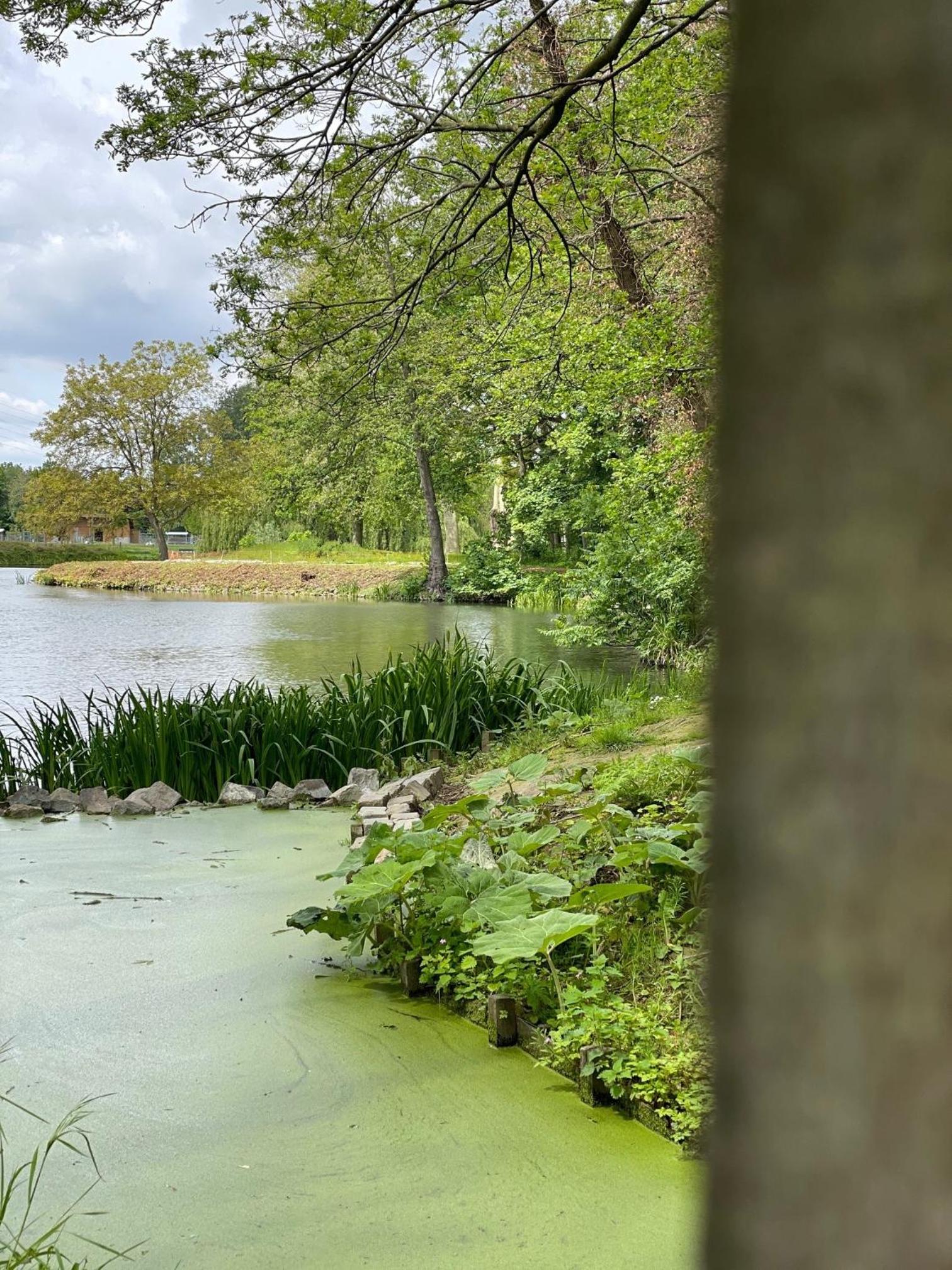 vakantiehuis Cerise, Luxueus genieten in de Leiestreek