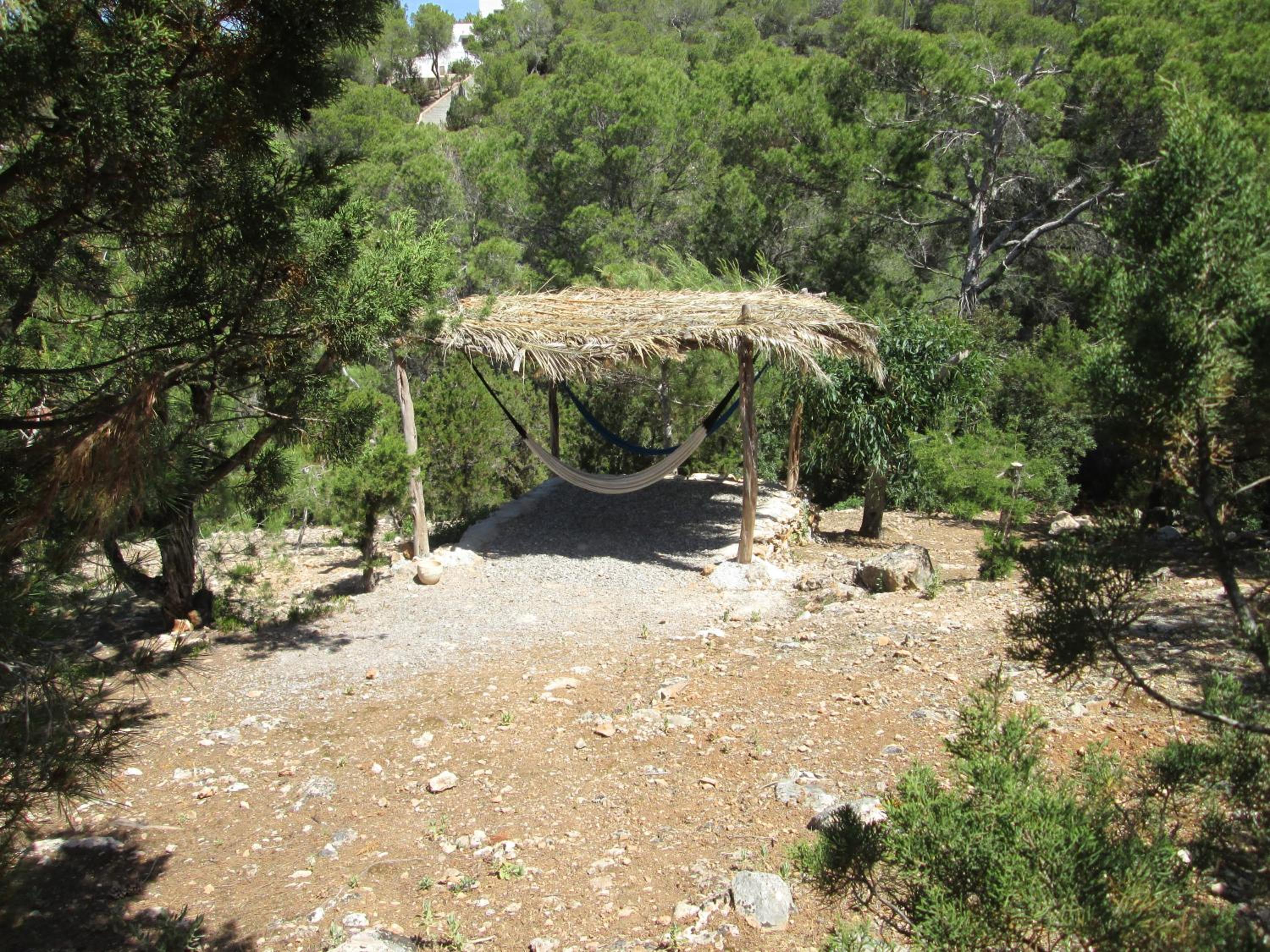 Photo 41