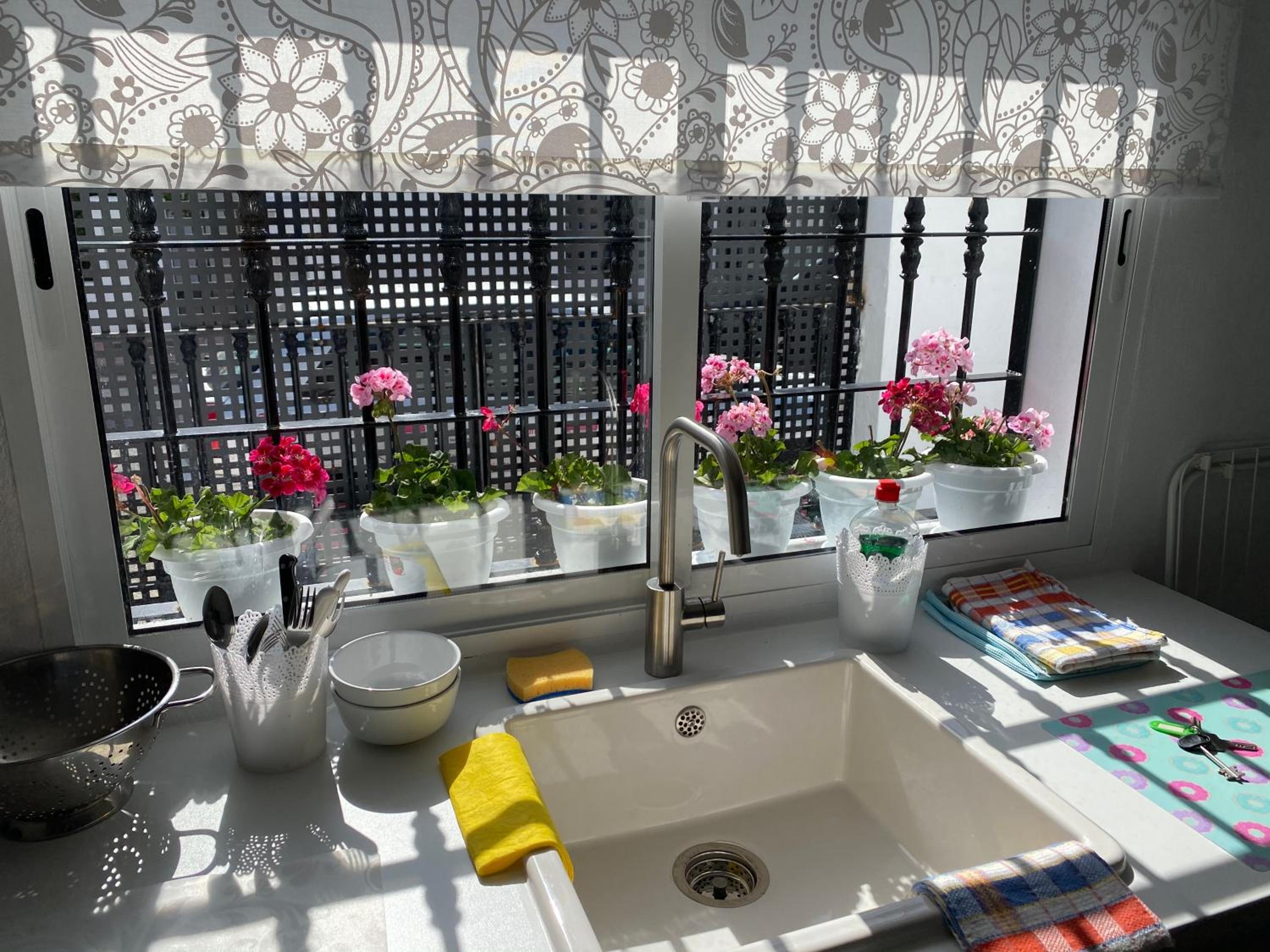 STUDIO -PATIO ANDALUZ- view 2