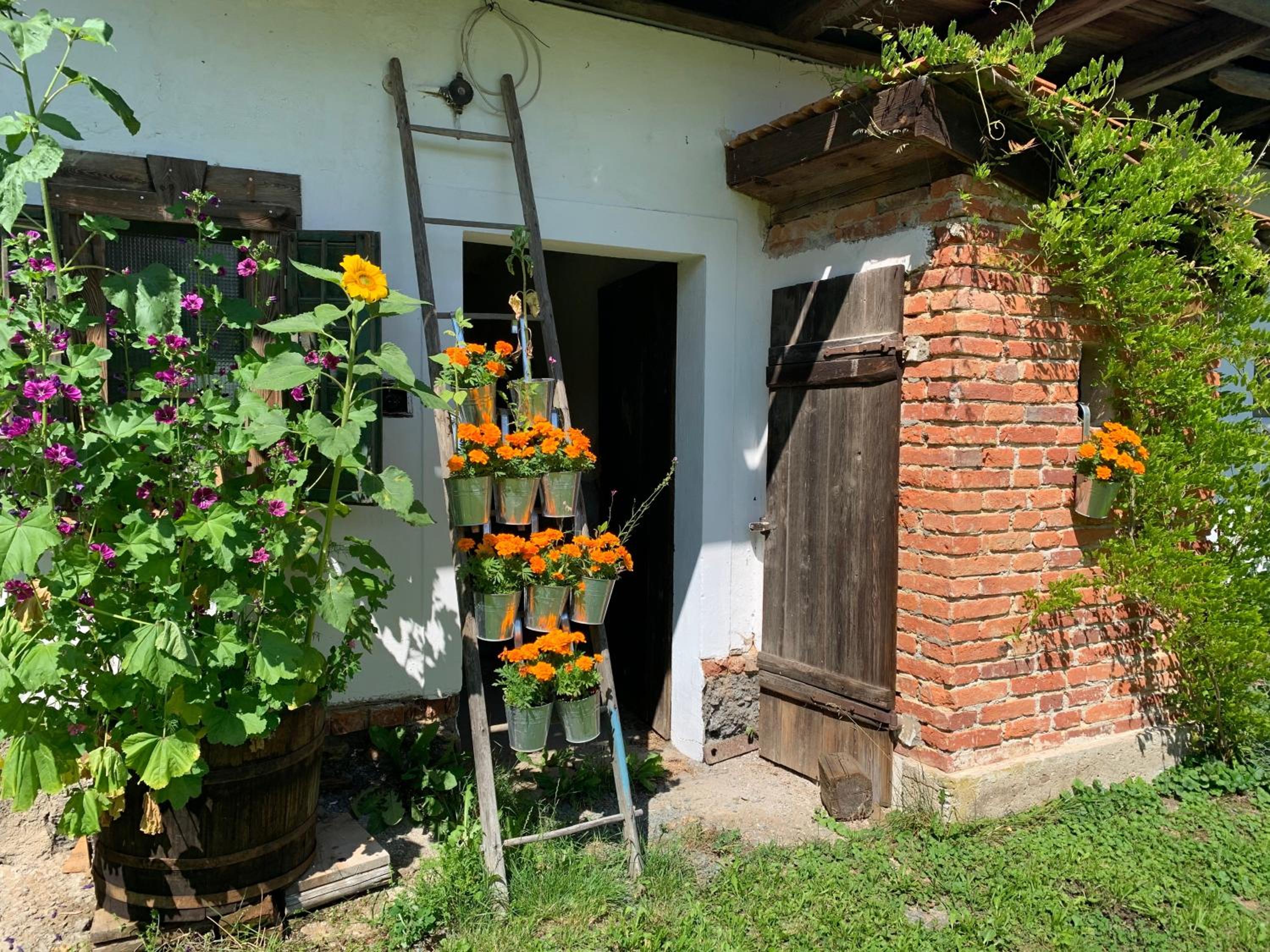 Photo 25