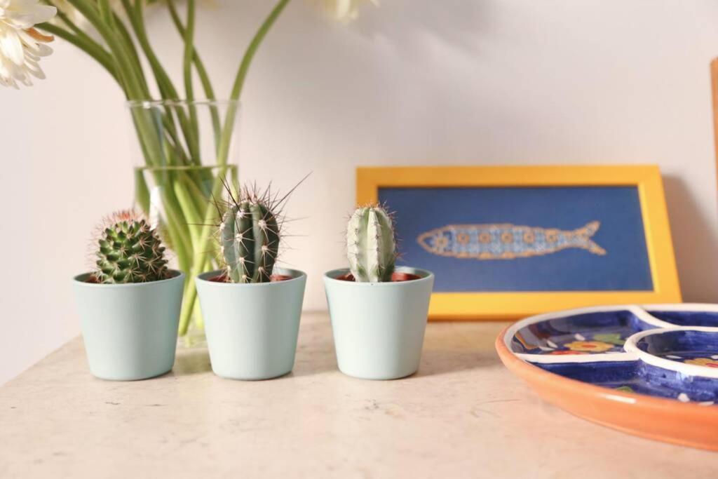Bright cozy flat by river in an quiet art zone in Lisbon view 3