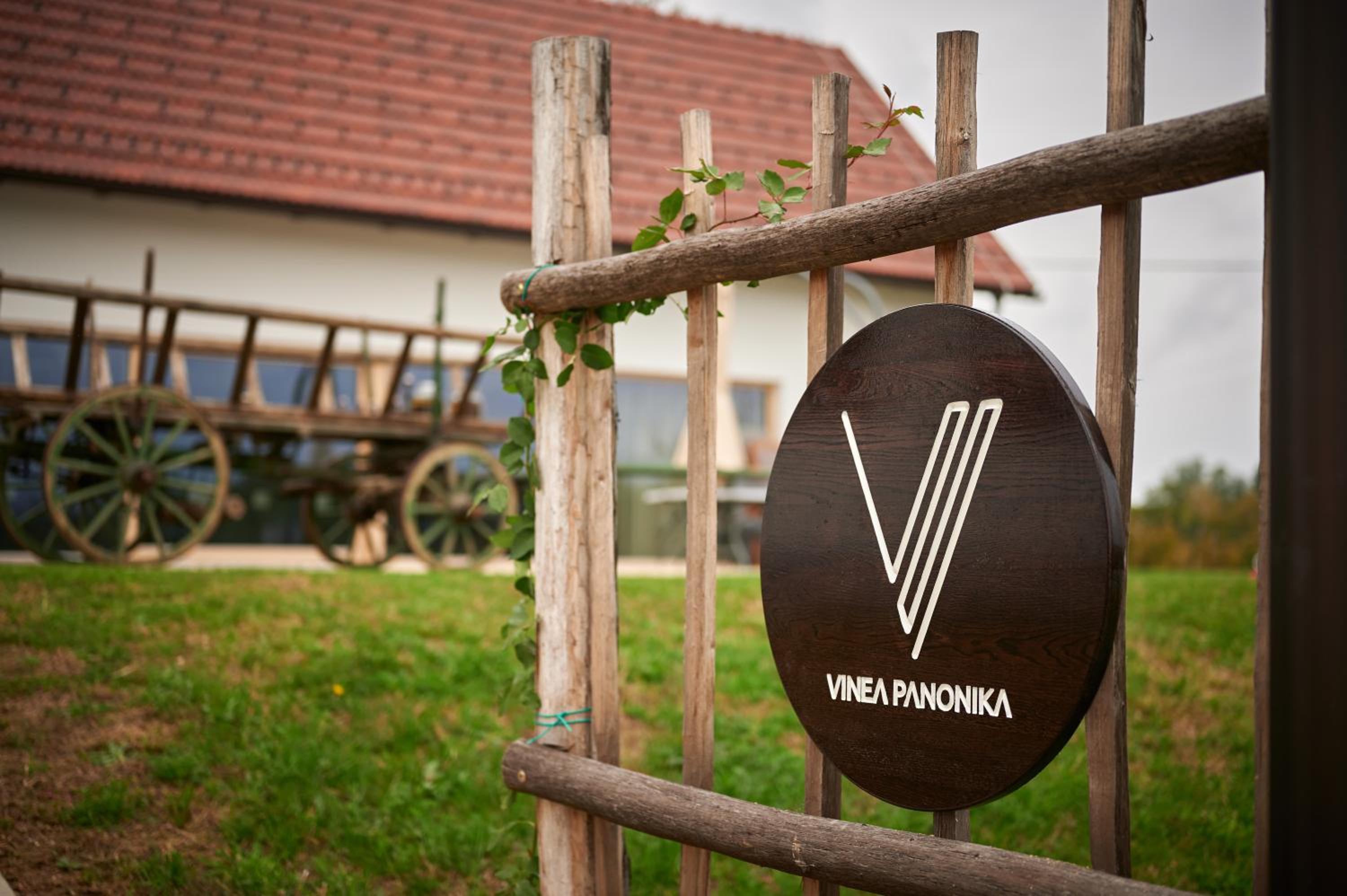 VINEA PANONIKA wine & mind retreat view 3
