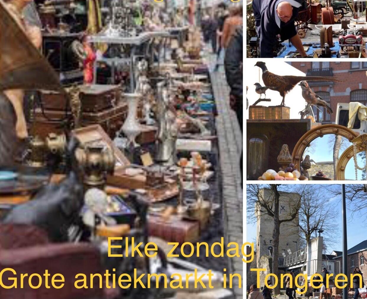 vakantiehuisje Vds