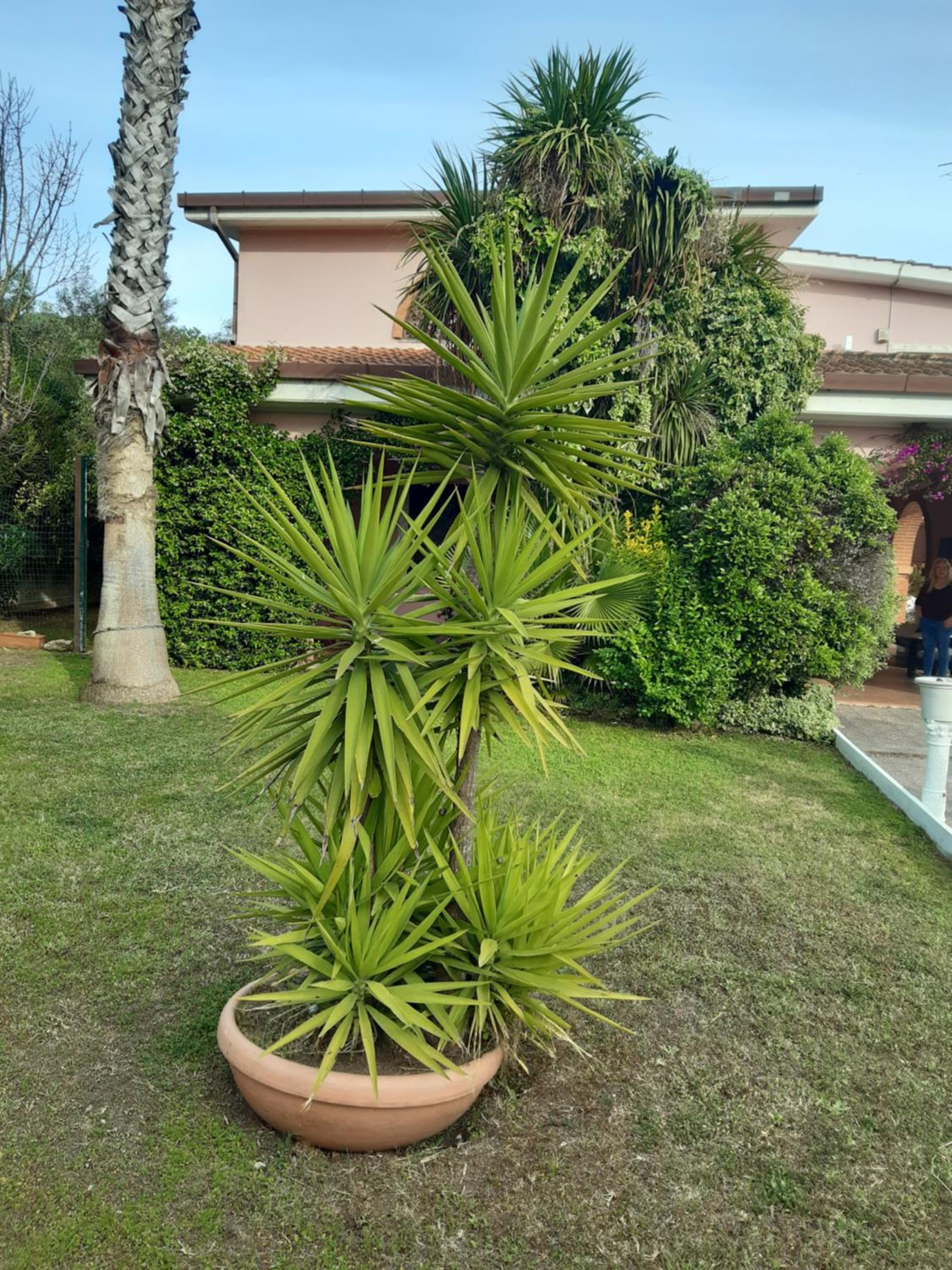Photo 10