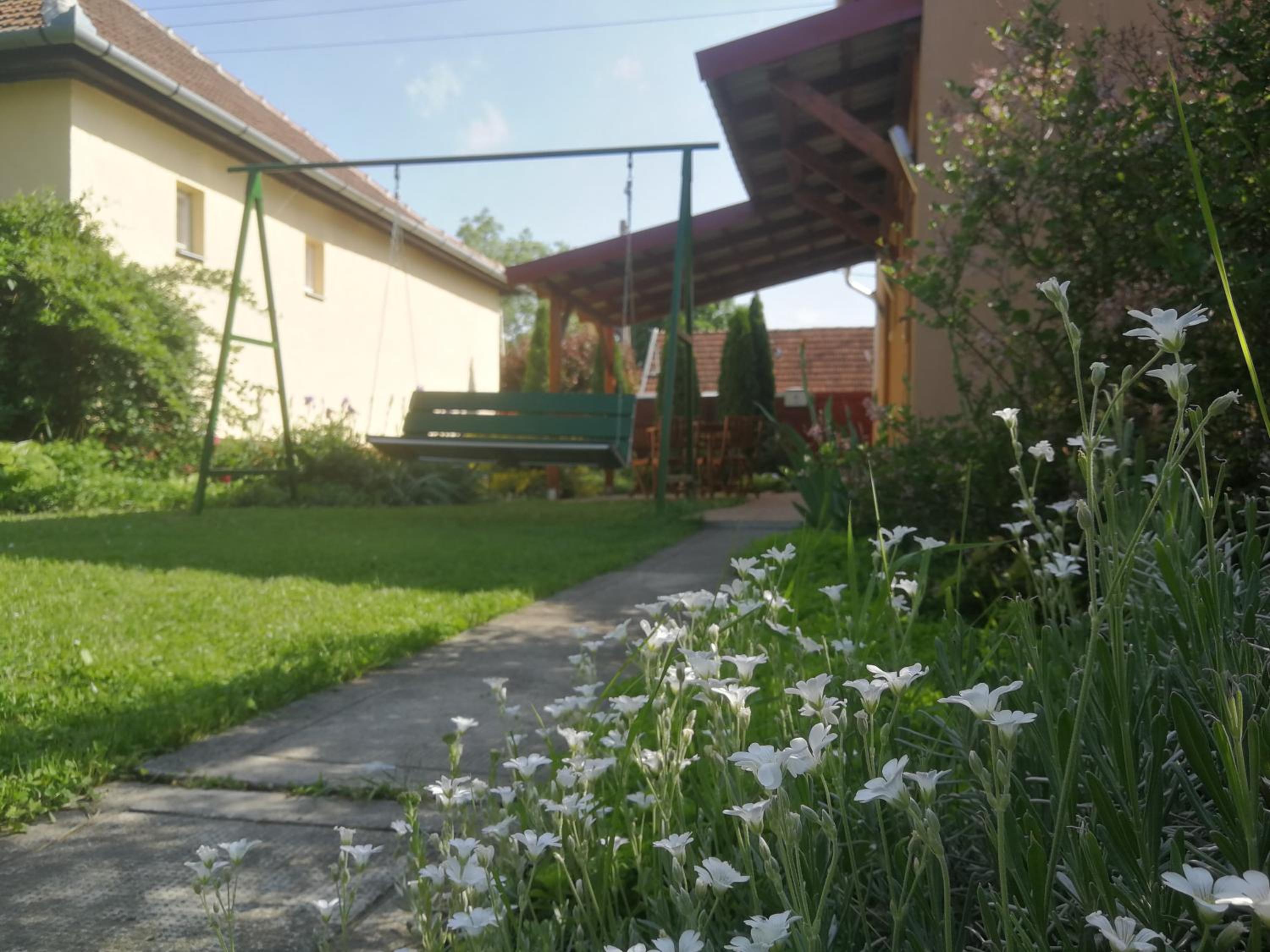 Photo 25