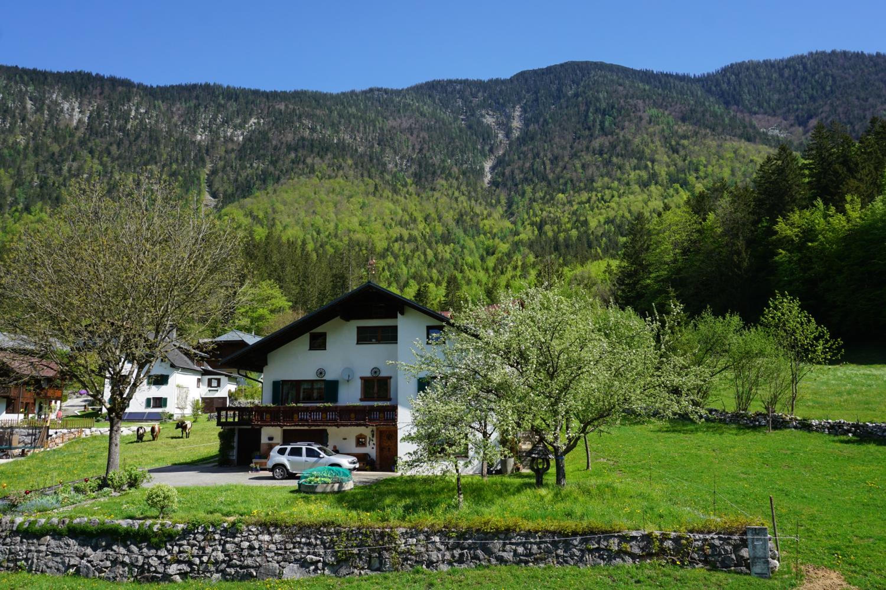 Apartment Haider 1