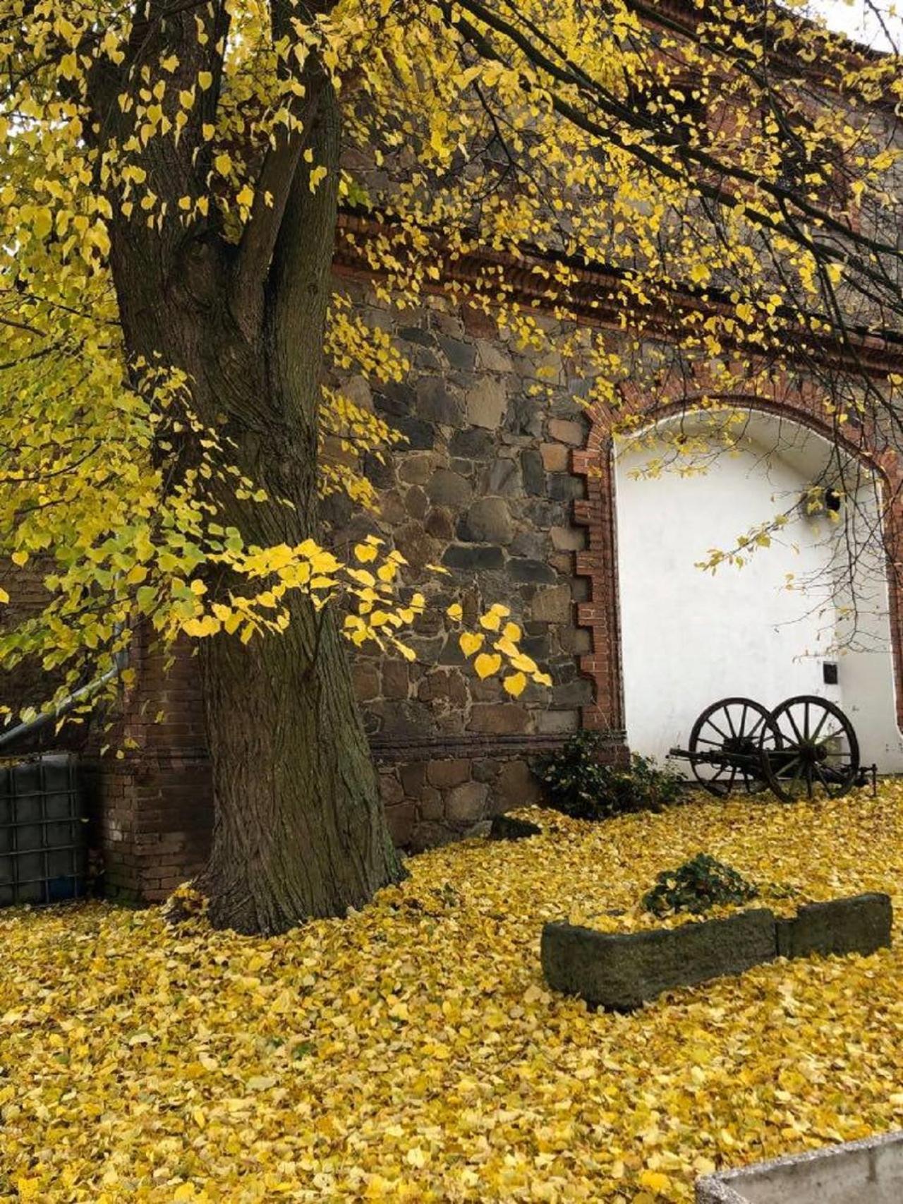 Schwarzenberský panský dvůr