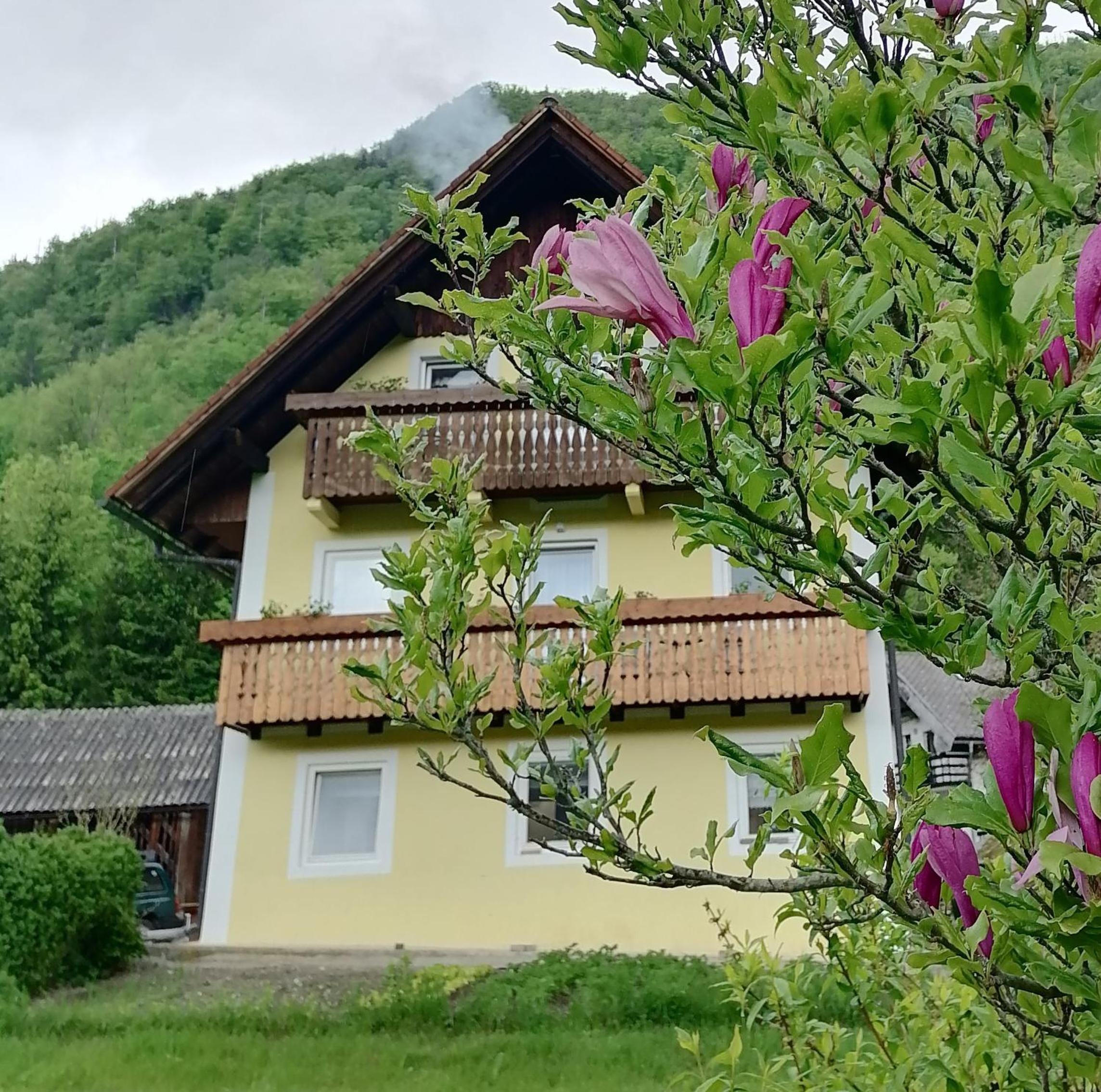 Apartment House Andrej view 3
