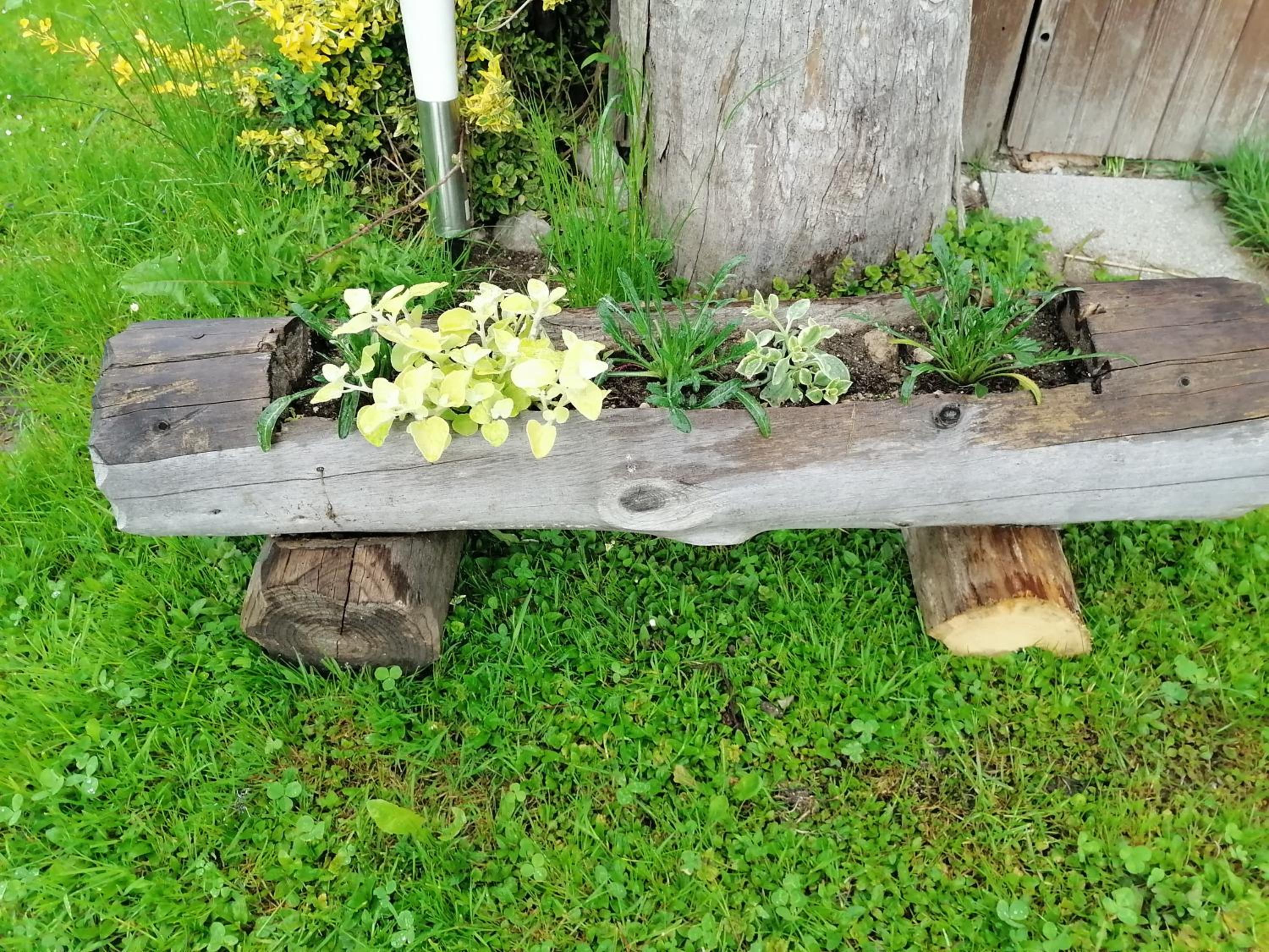 Photo 29