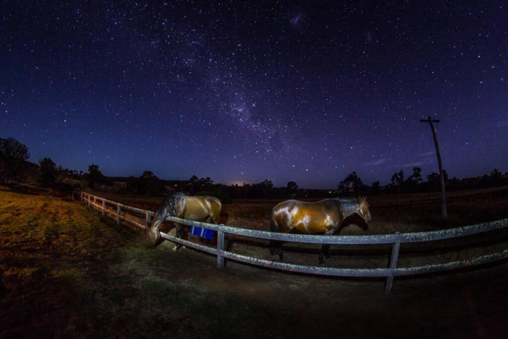 Myrtlemae Farm