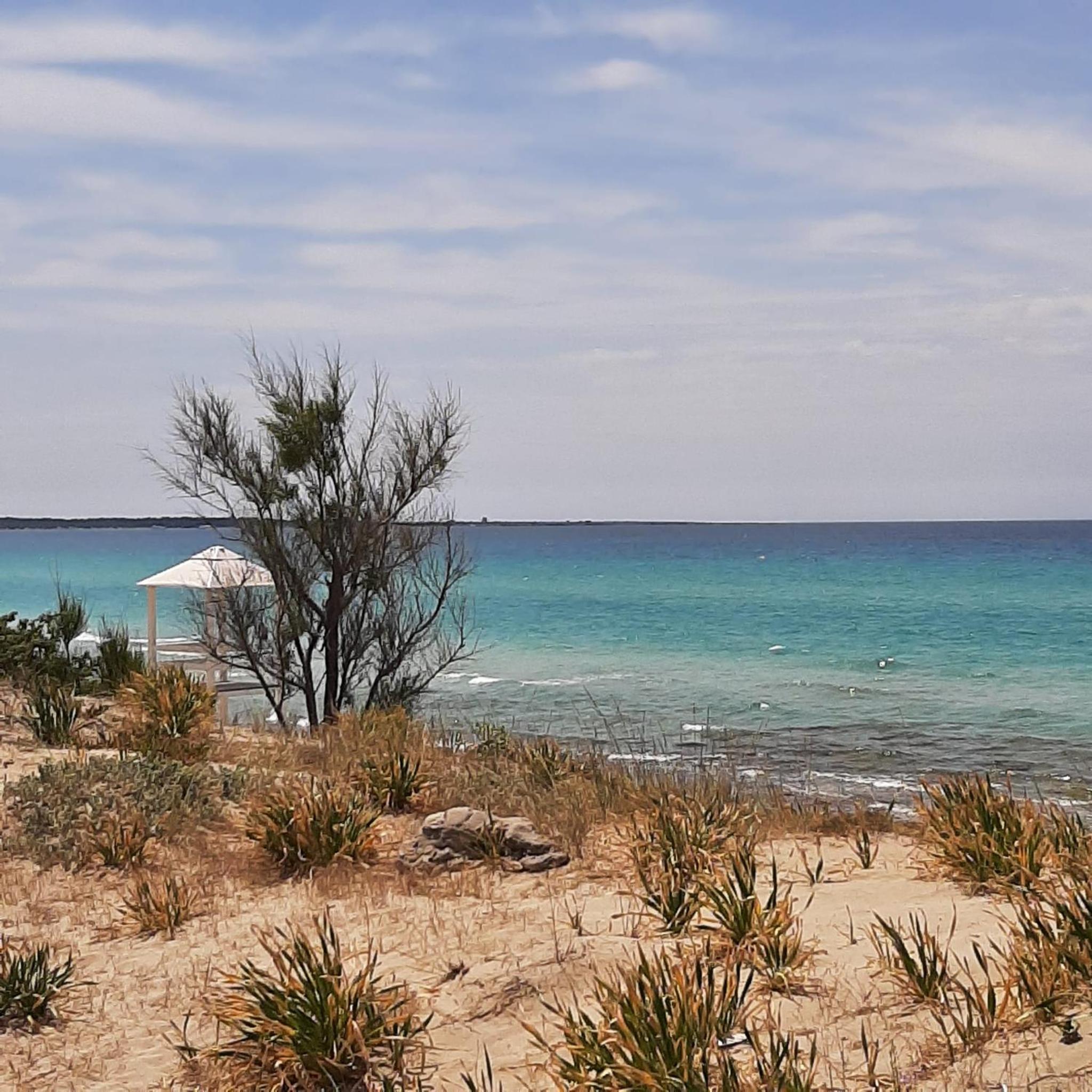 Medusa Gallipoli