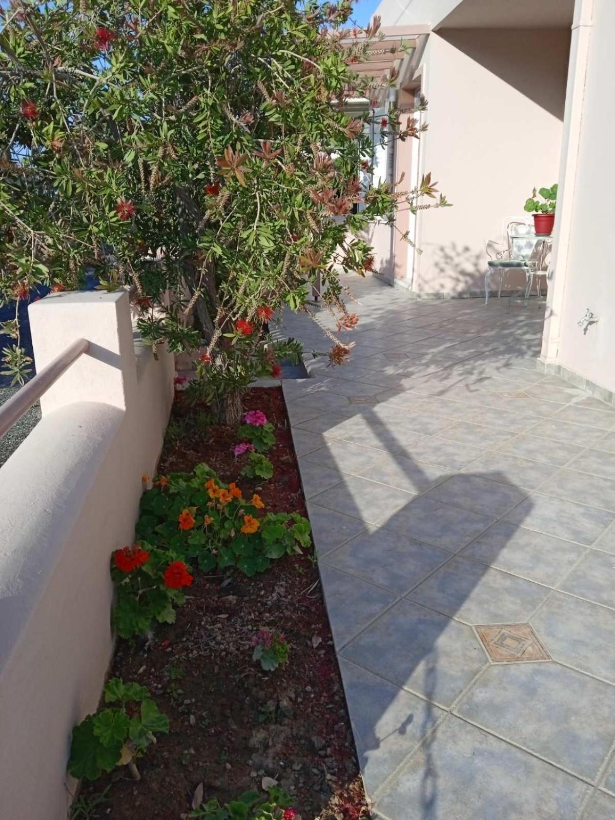 Photo 28