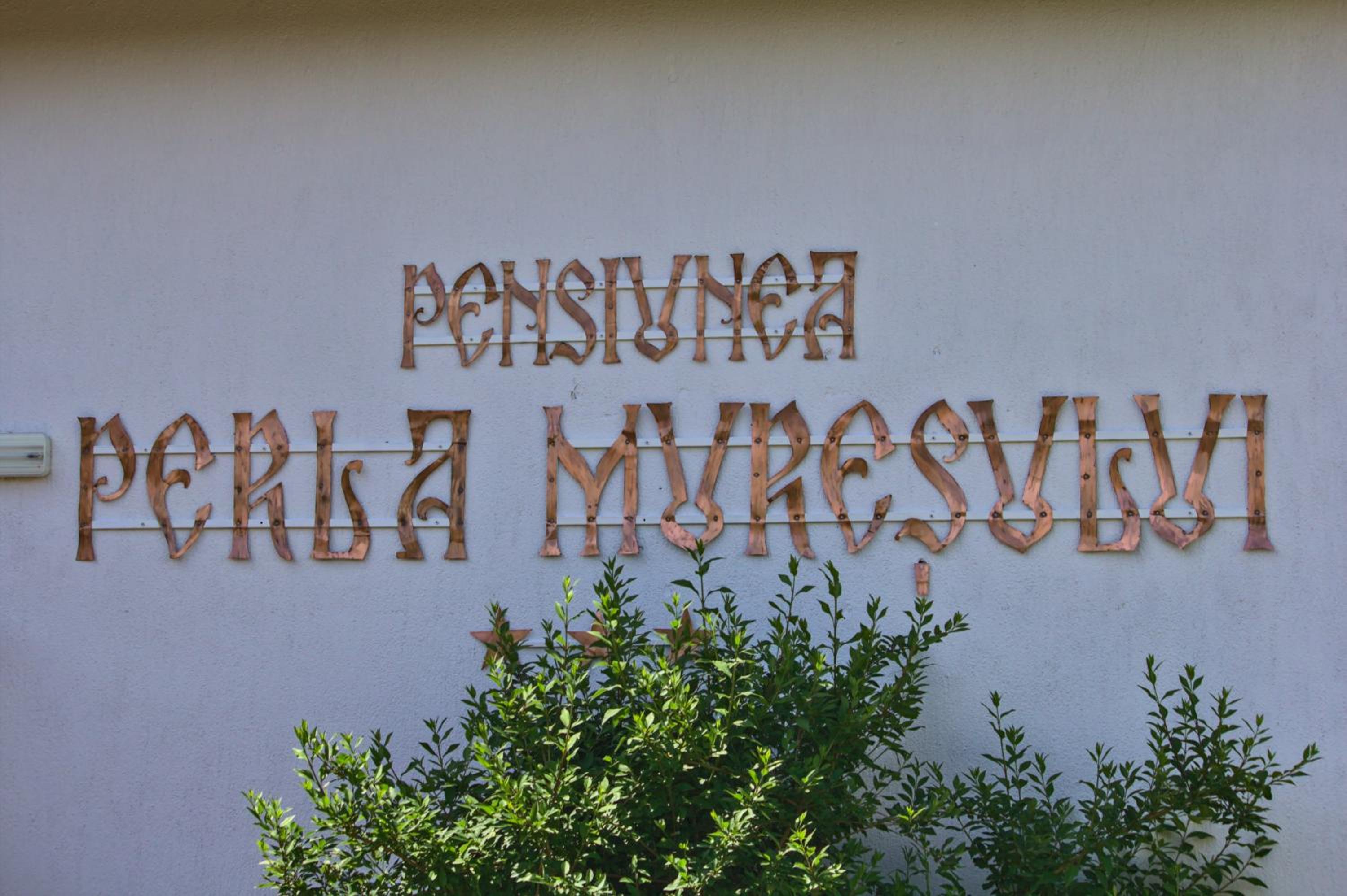 Perla Muresului view 3