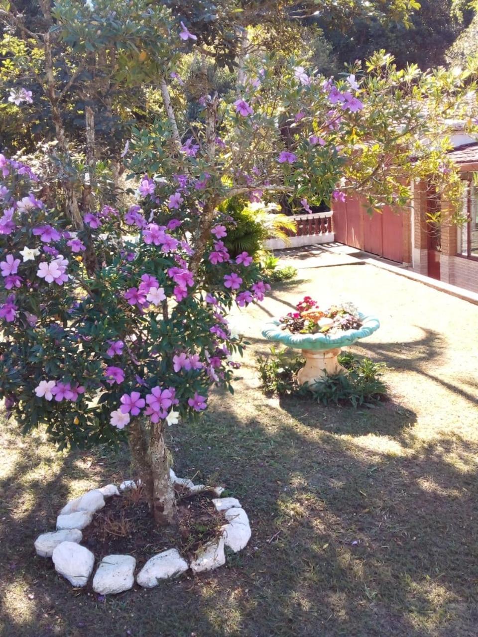Meu pedacinho de chão