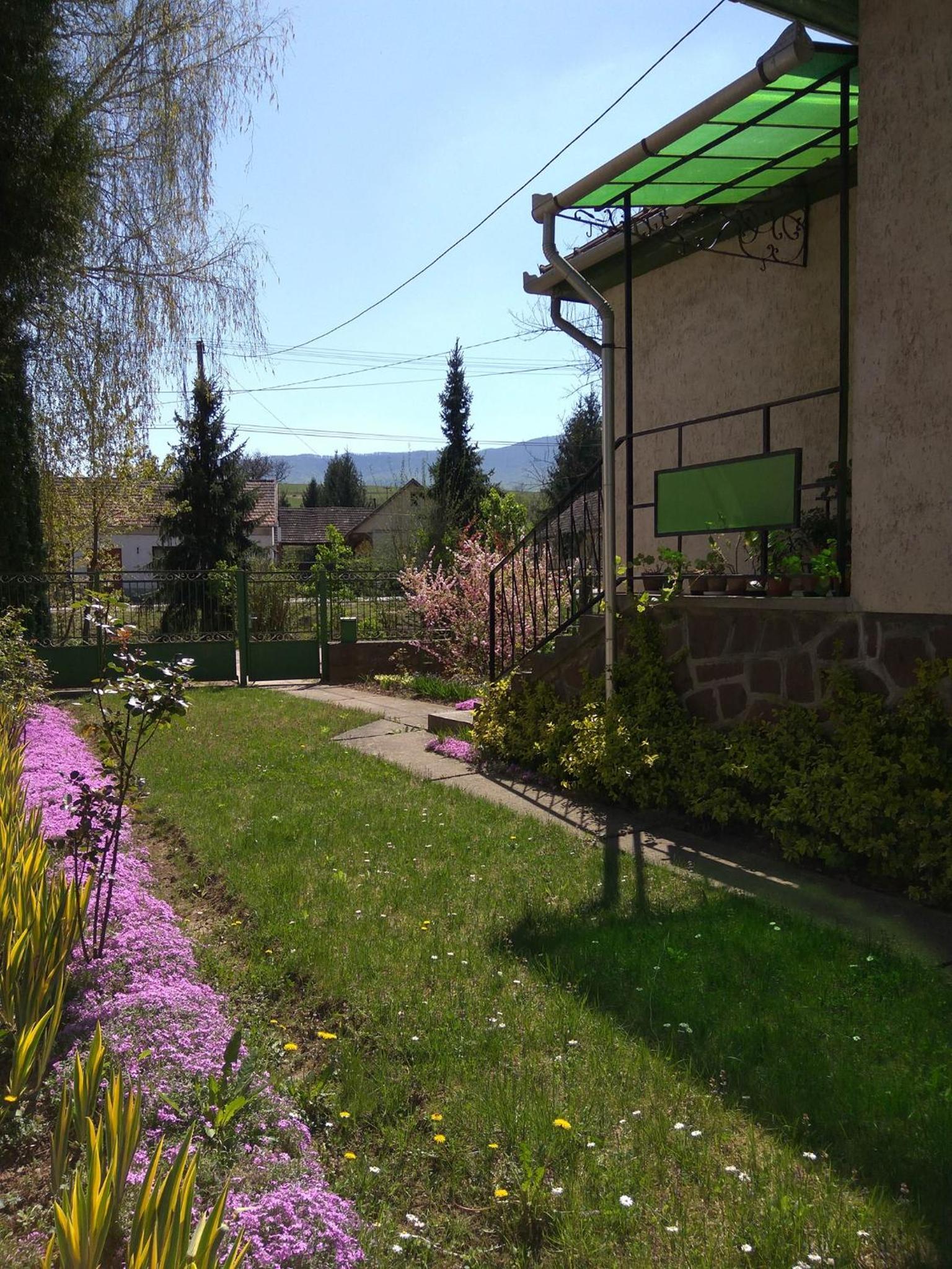 Photo 15