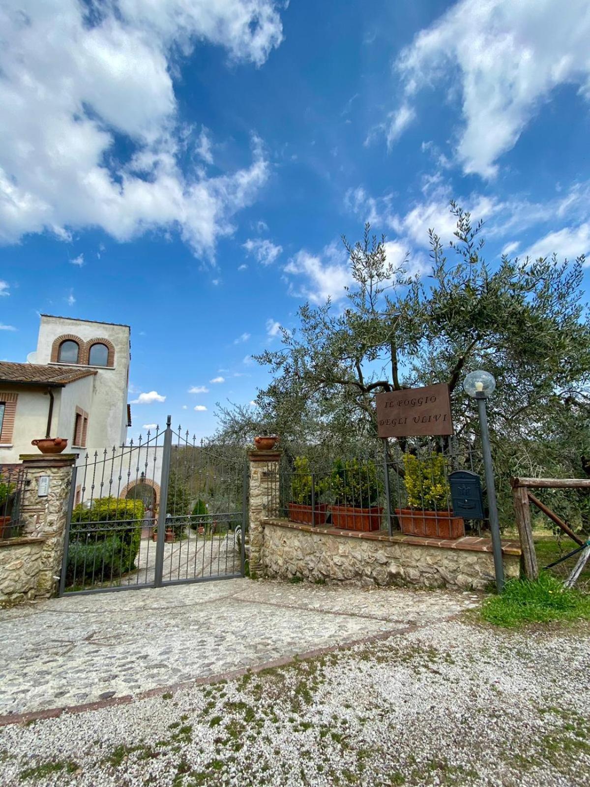 Il Poggio degli Ulivi view 2