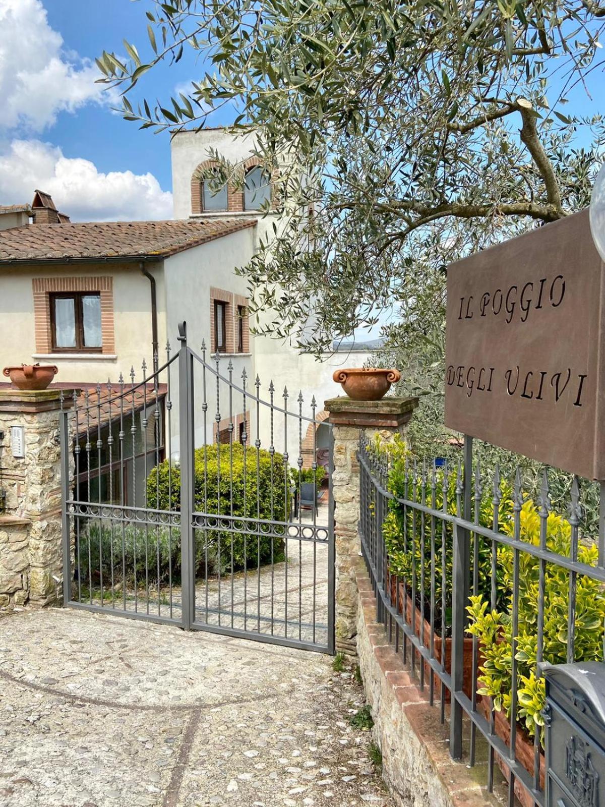 Il Poggio degli Ulivi view 3
