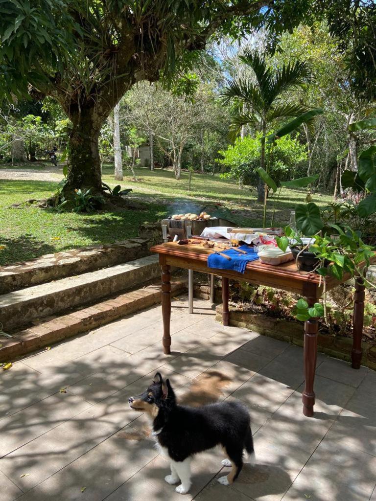 Casa Amarela