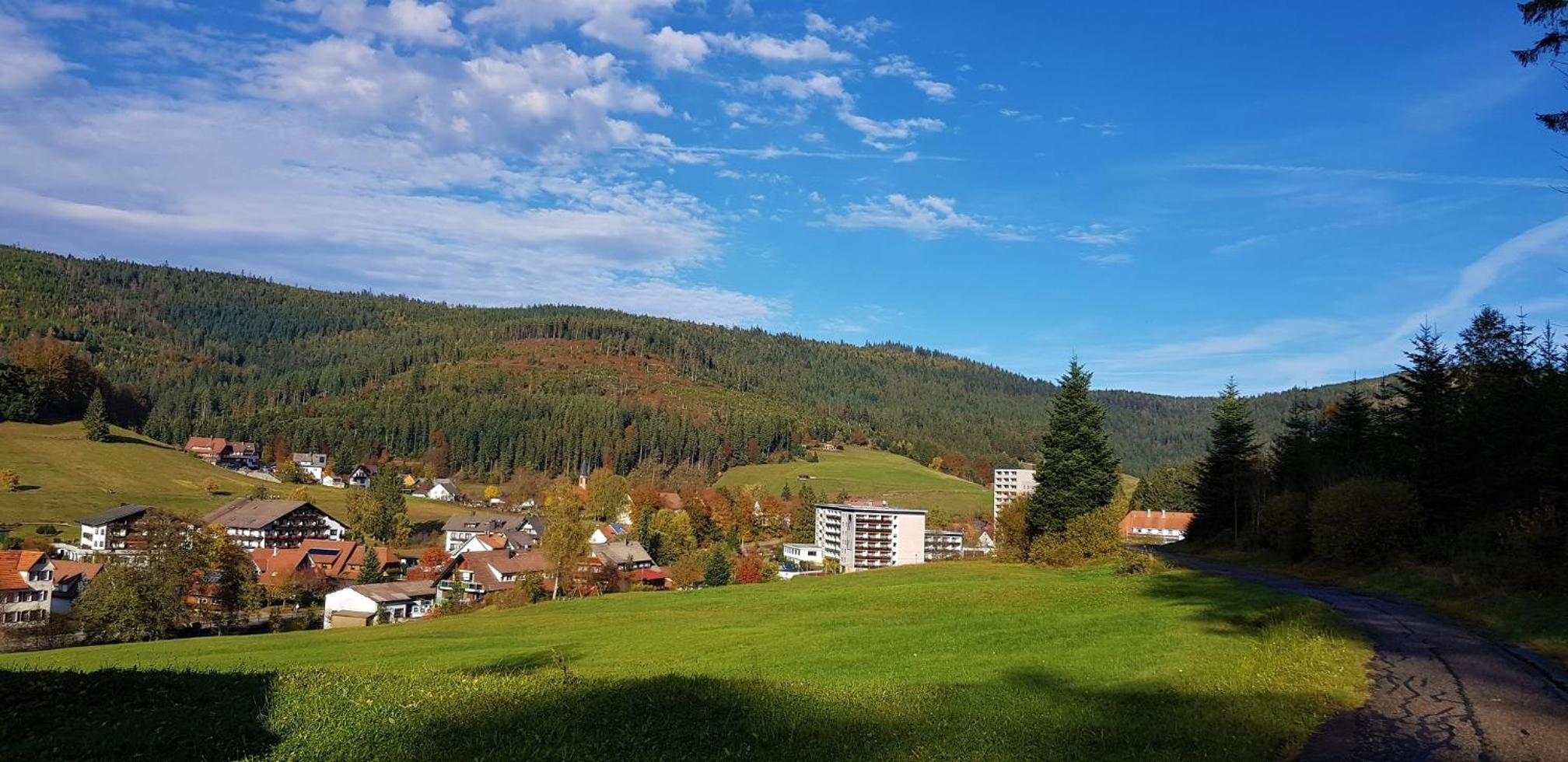 Ferienwohnung Tannenballett mit Panorama über den Schwarzwald in Baiersbronn