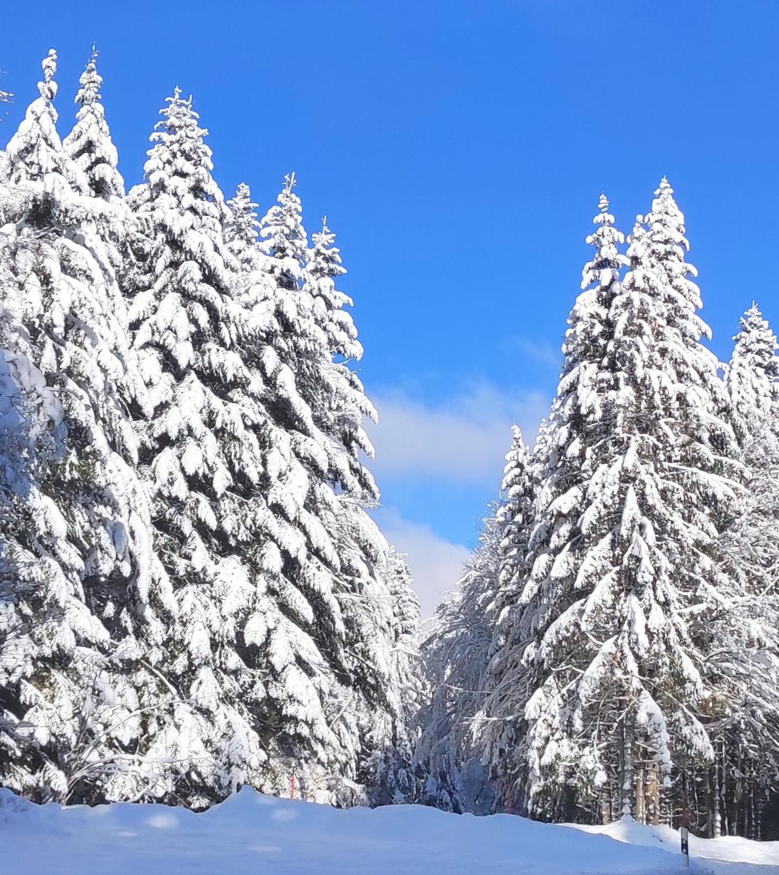Ferienwohnung Tannenballett mit Panorama über den Schwarzwald in Baiersbronn
