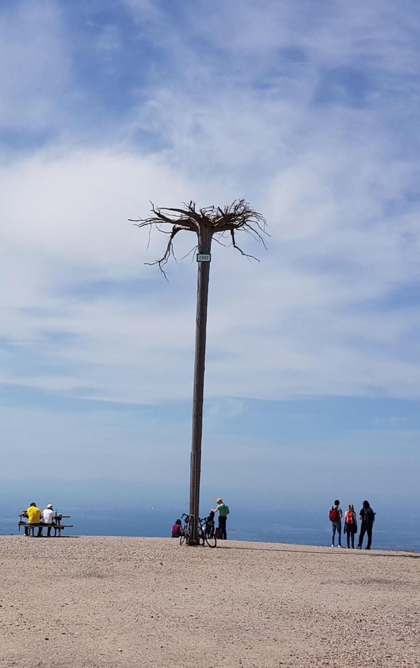 Ferienwohnung Tannenballett mit Panorama über den Schwarzwald in Baiersbronn