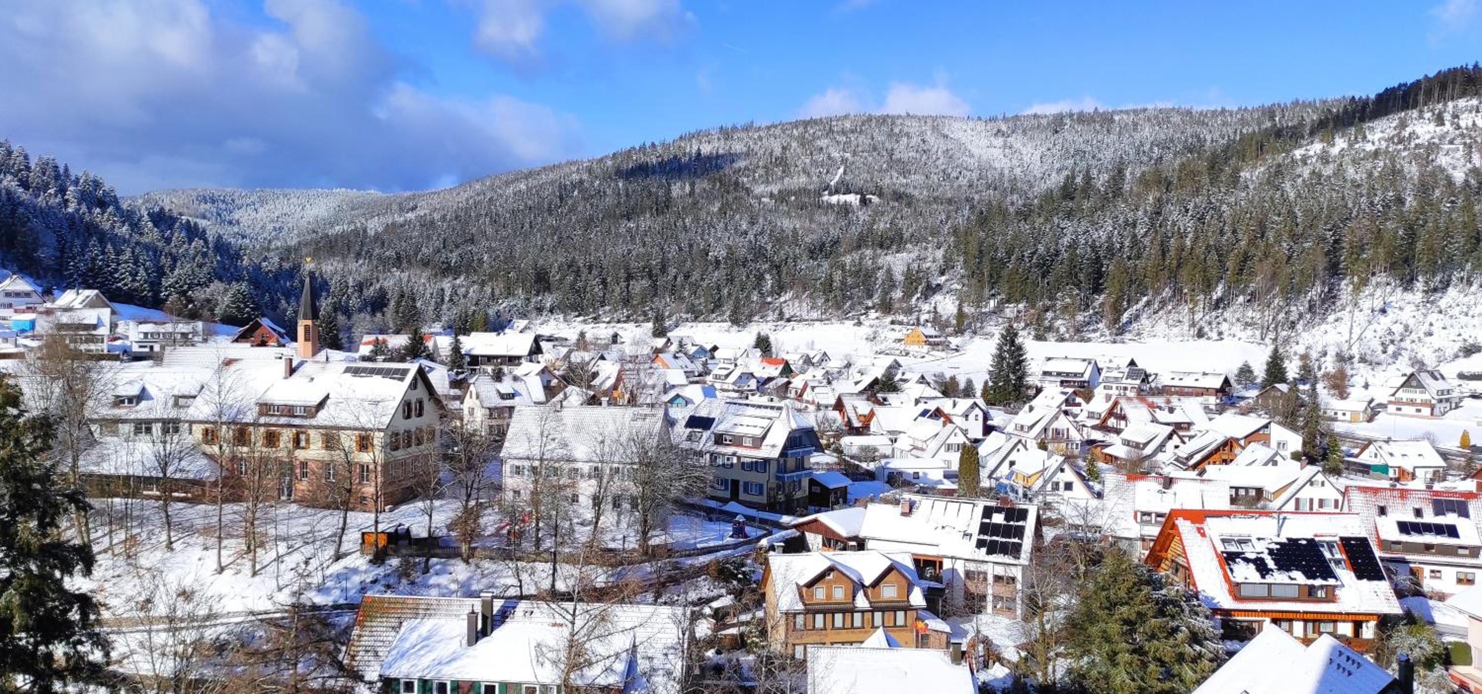 Ferienwohnung Tannenballett mit Panorama über den Schwarzwald in Baiersbronn