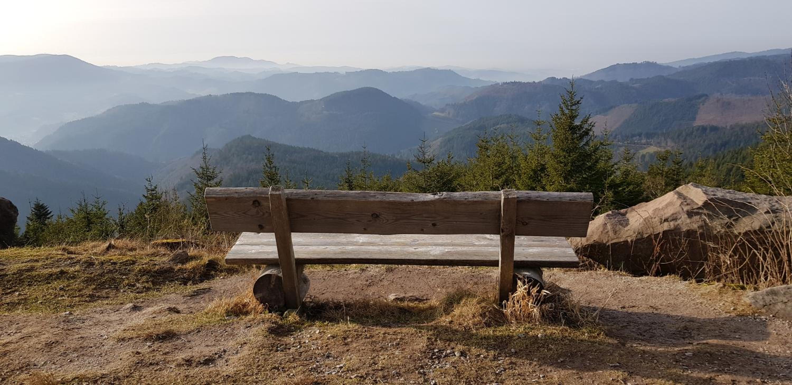 Ferienwohnung Tannenballett mit Panorama über den Schwarzwald in Baiersbronn