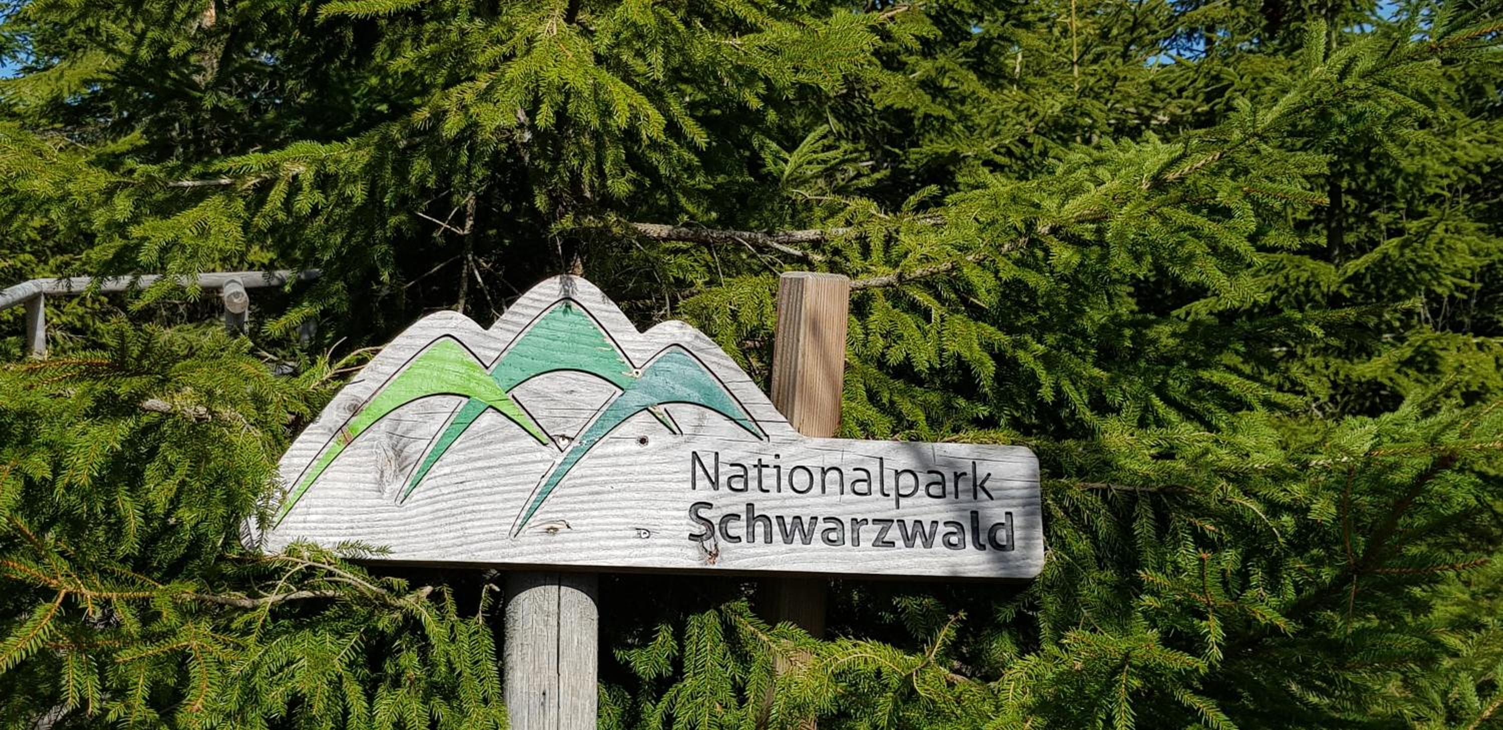 Ferienwohnung Tannenballett mit Panorama über den Schwarzwald in Baiersbronn