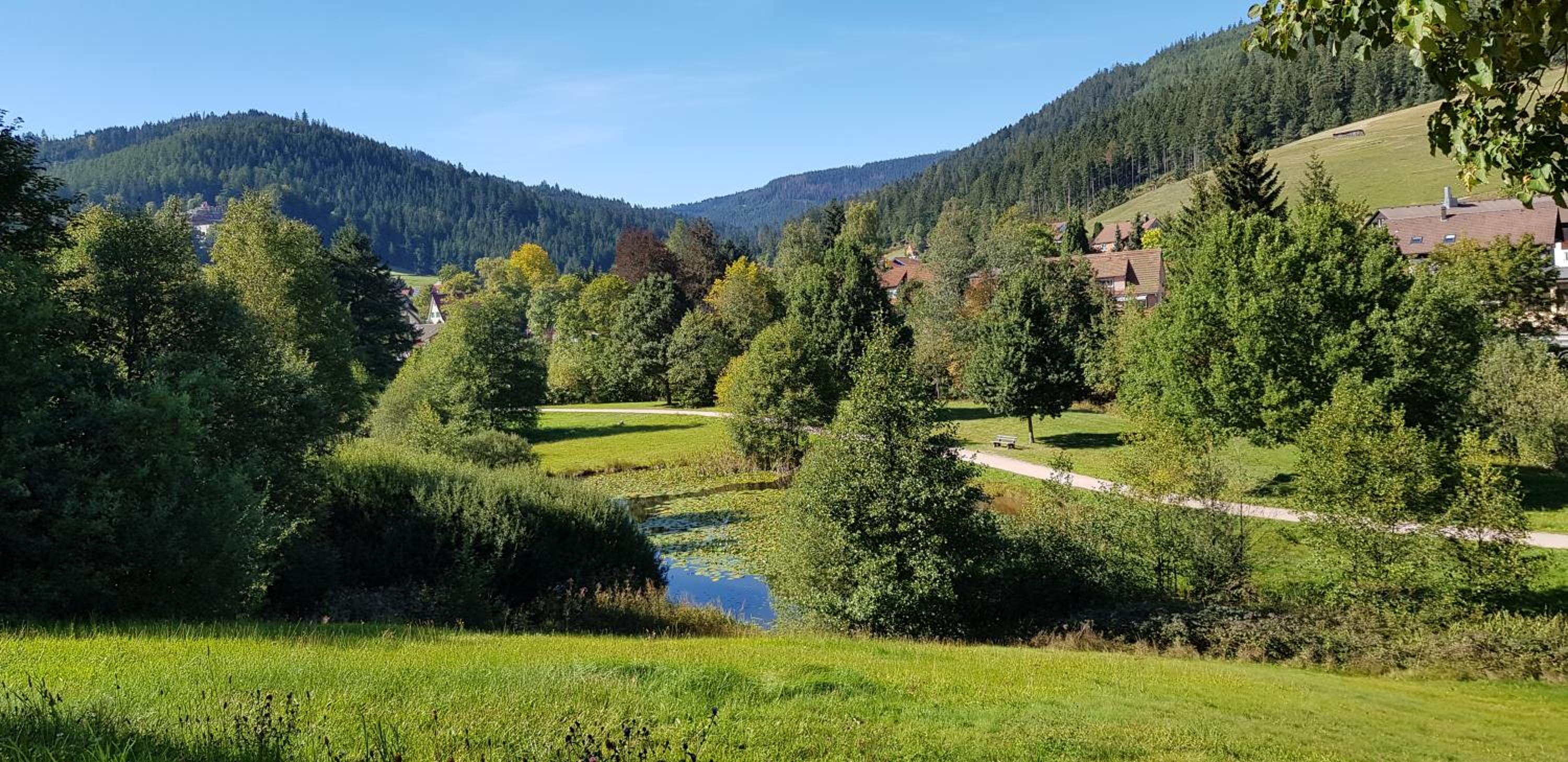 Ferienwohnung Tannenballett mit Panorama über den Schwarzwald in Baiersbronn