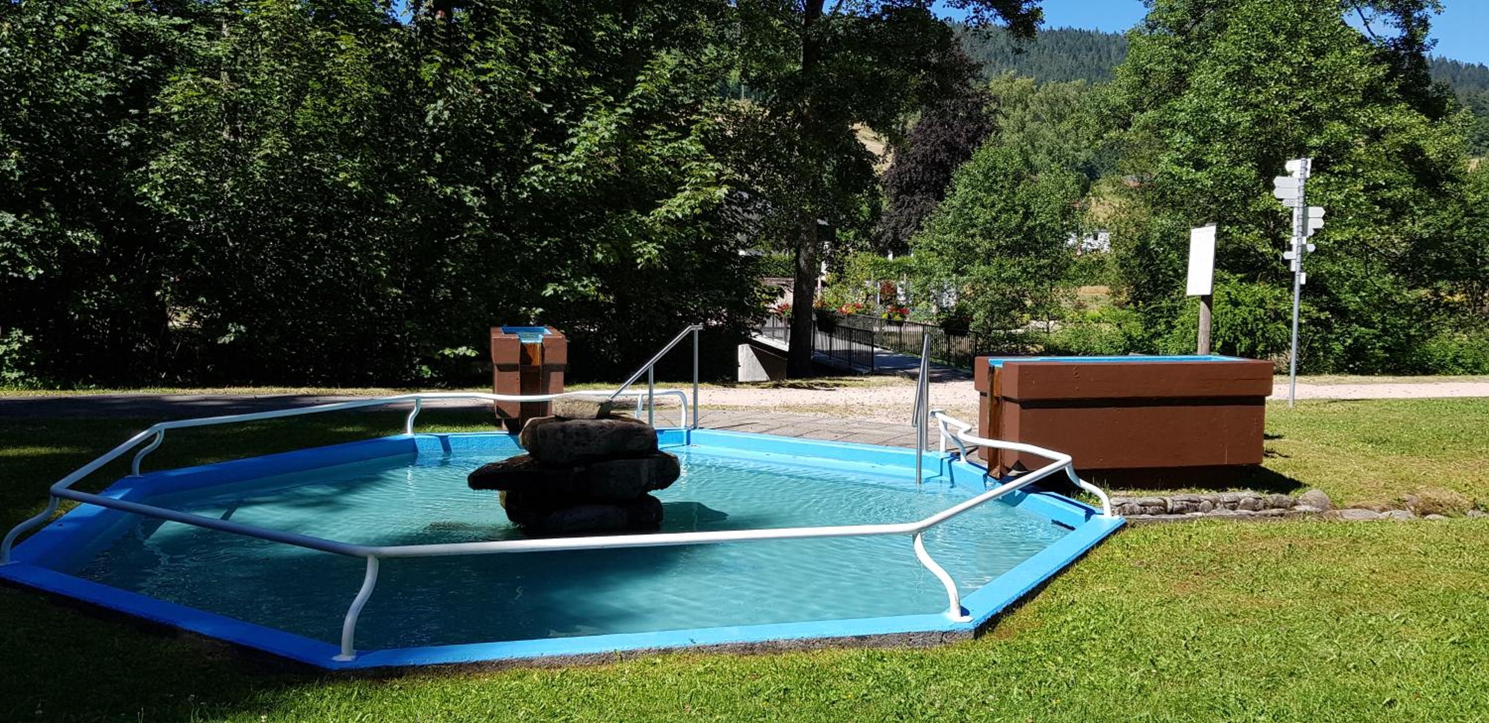 Ferienwohnung Tannenballett mit Panorama über den Schwarzwald in Baiersbronn