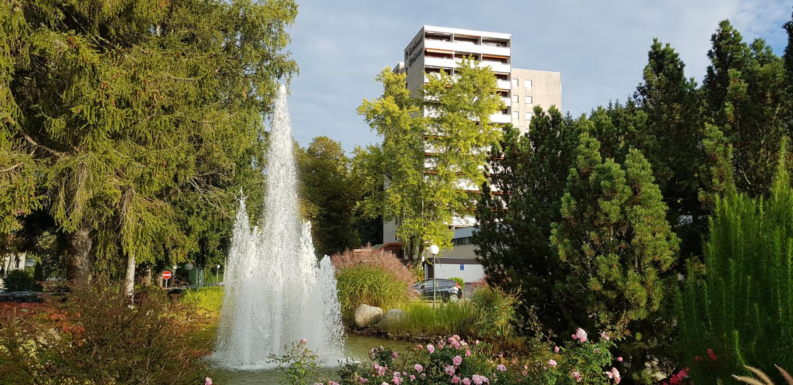 Ferienwohnung Tannenballett mit Panorama über den Schwarzwald in Baiersbronn