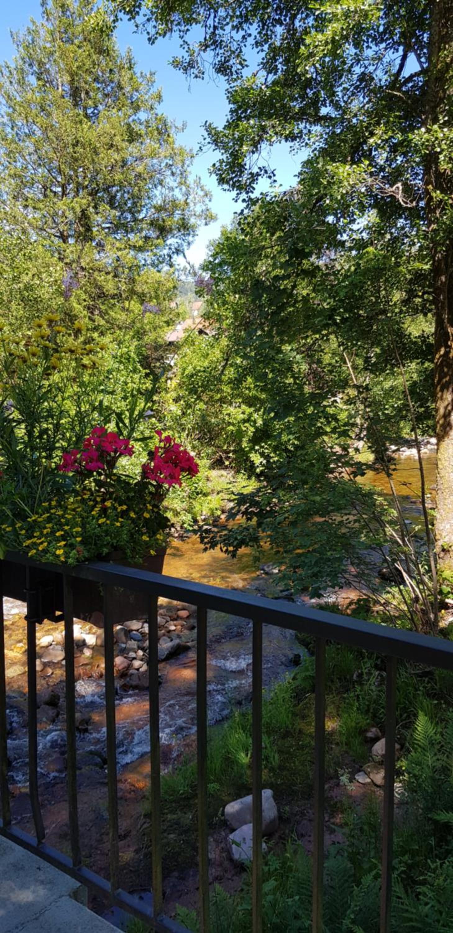 Ferienwohnung Tannenballett mit Panorama über den Schwarzwald in Baiersbronn