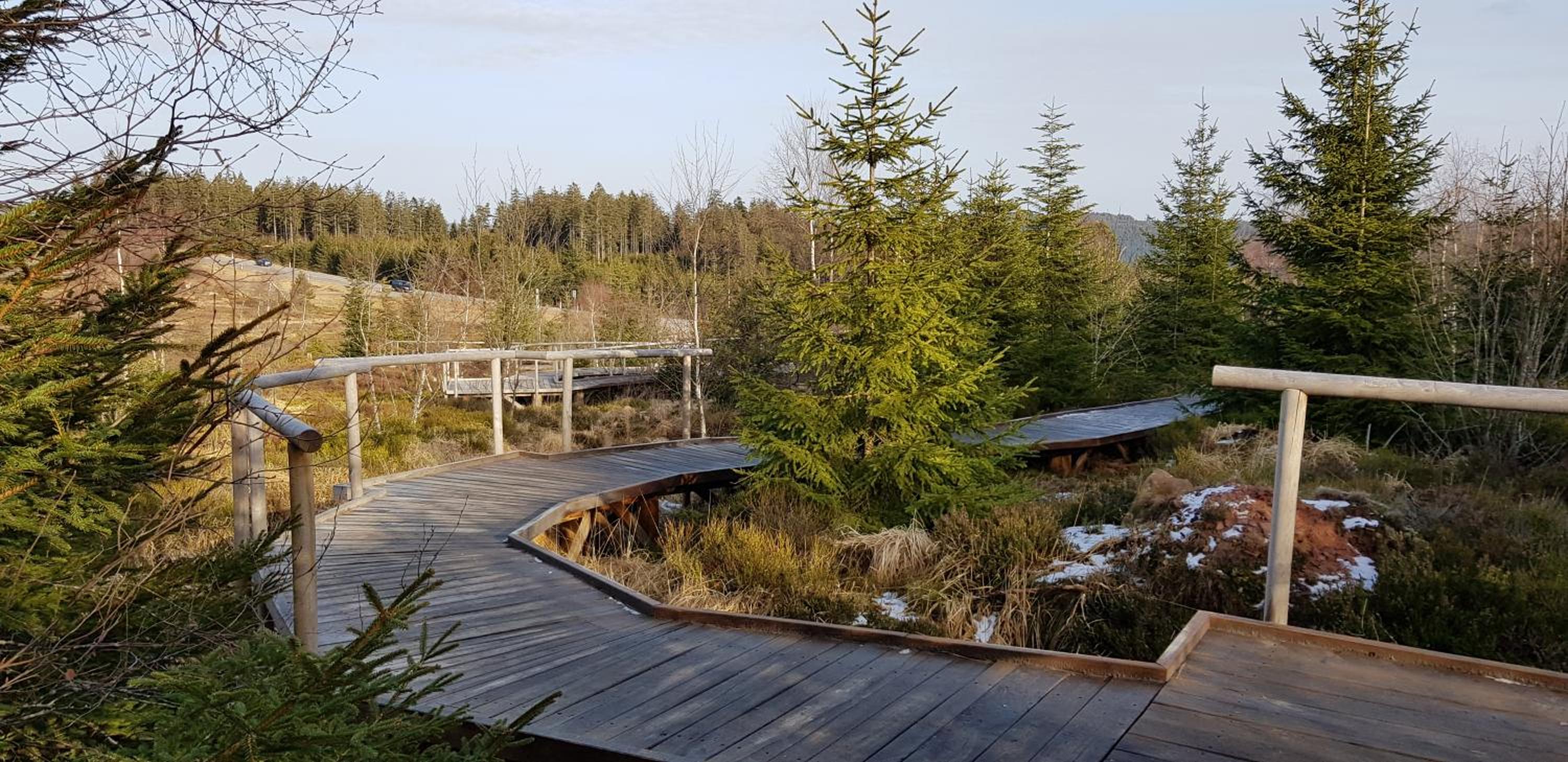Ferienwohnung Tannenballett mit Panorama über den Schwarzwald in Baiersbronn