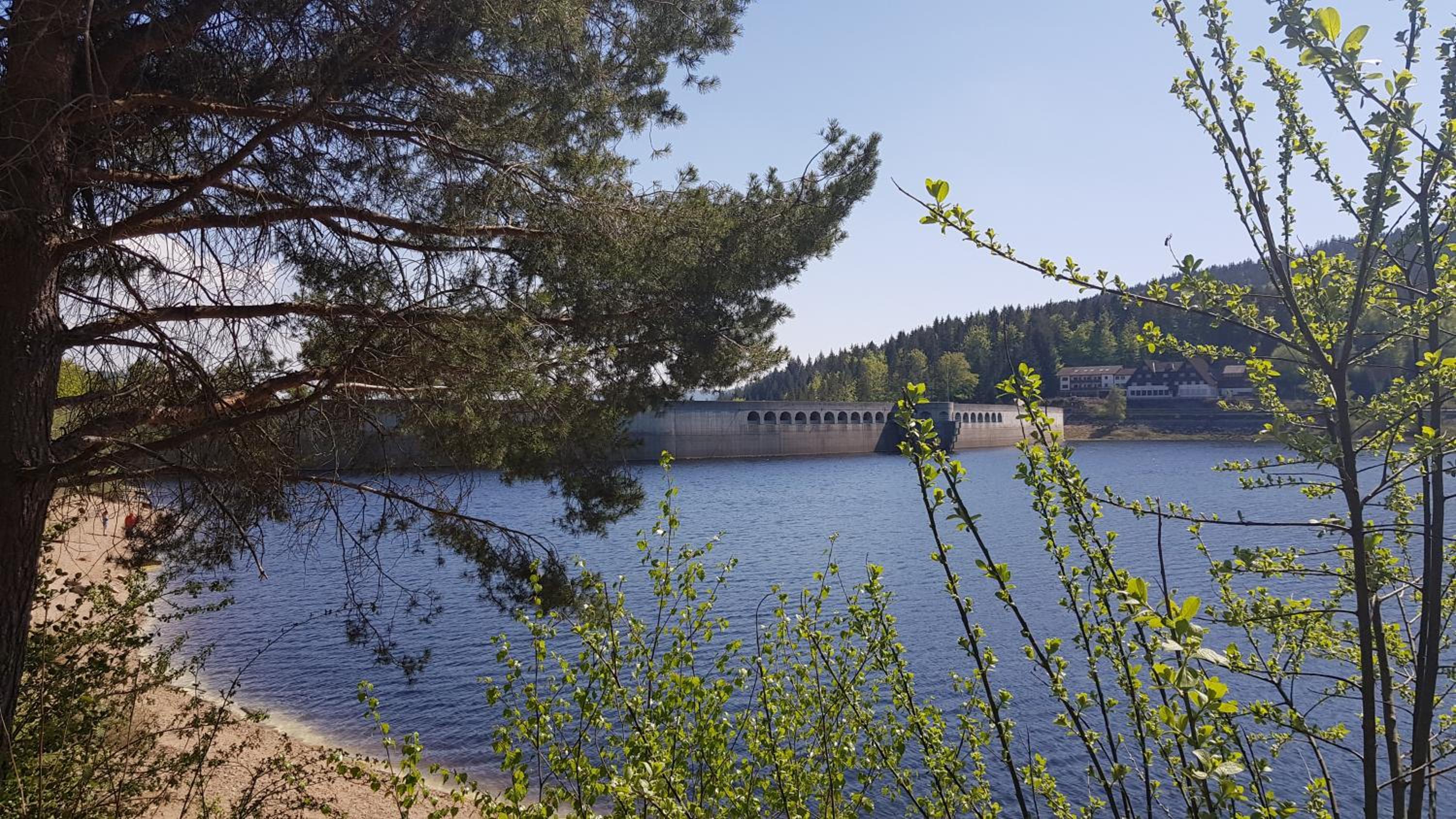 Ferienwohnung Tannenballett mit Panorama über den Schwarzwald in Baiersbronn