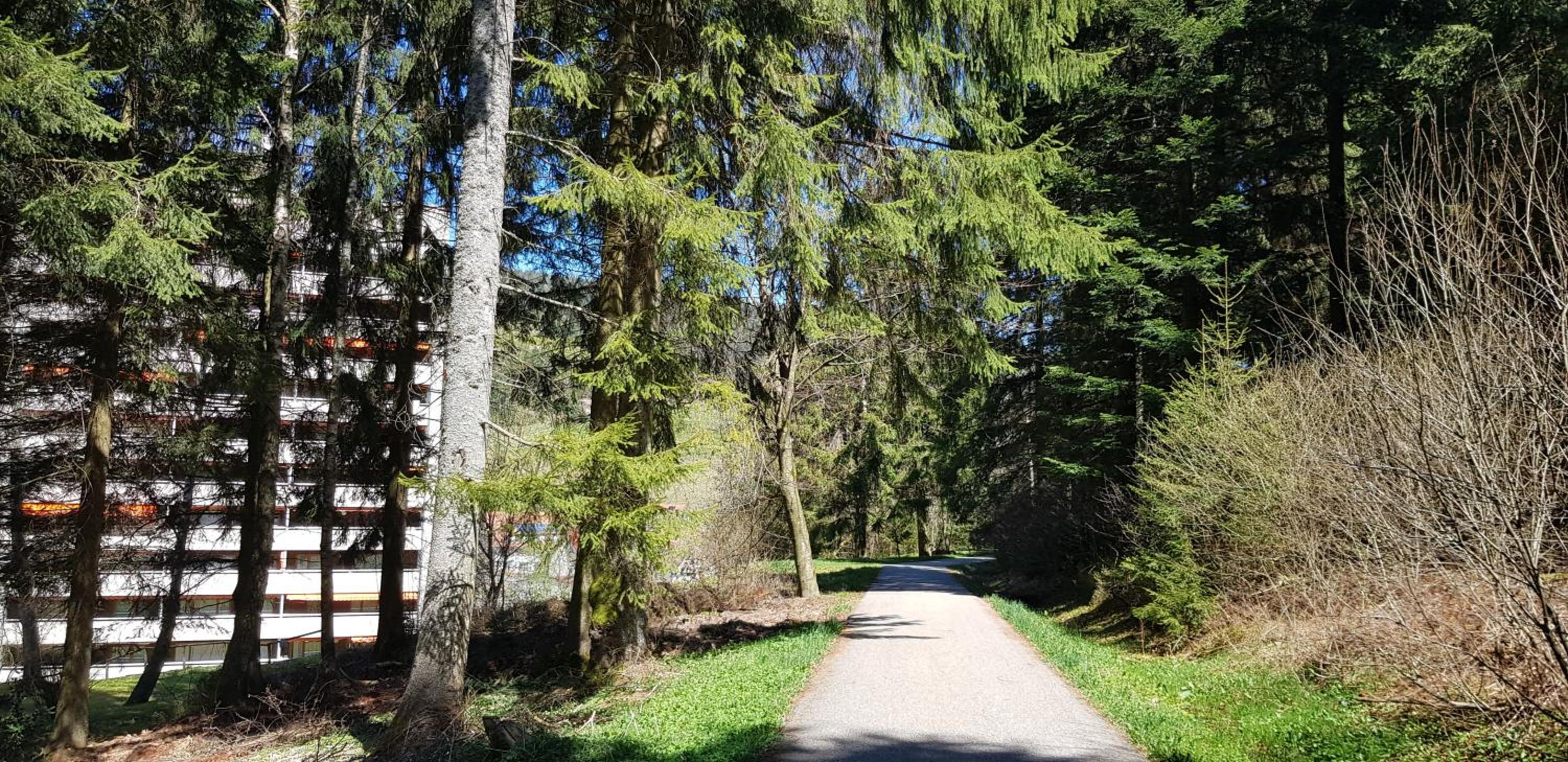 Ferienwohnung Tannenballett mit Panorama über den Schwarzwald in Baiersbronn