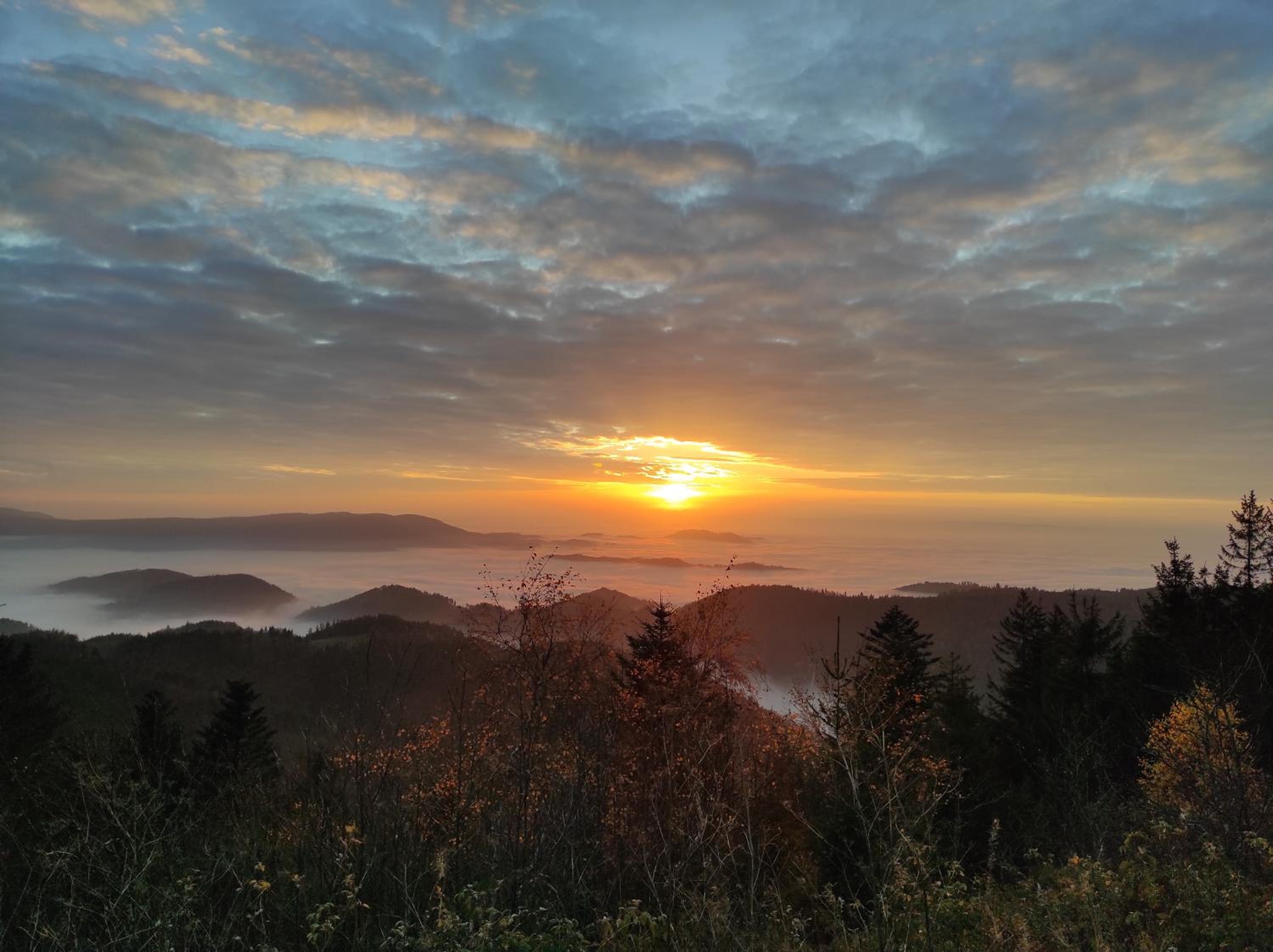 Ferienwohnung Tannenballett mit Panorama über den Schwarzwald in Baiersbronn