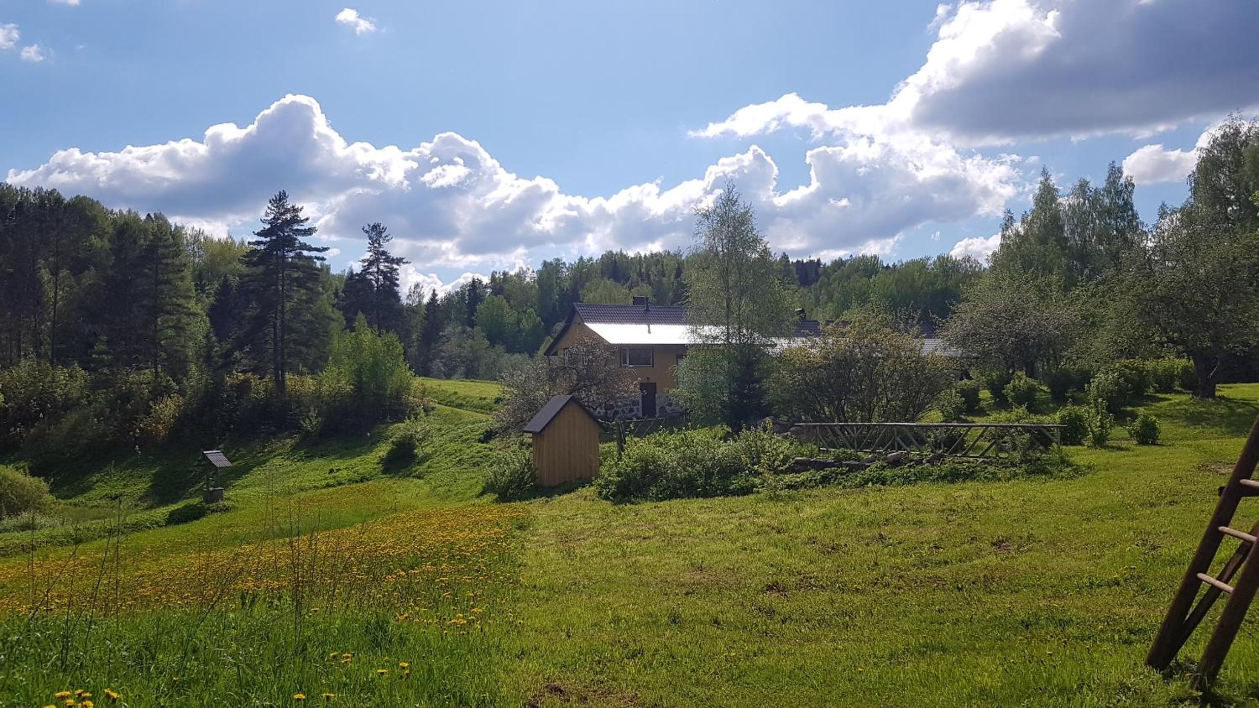 Photo 6