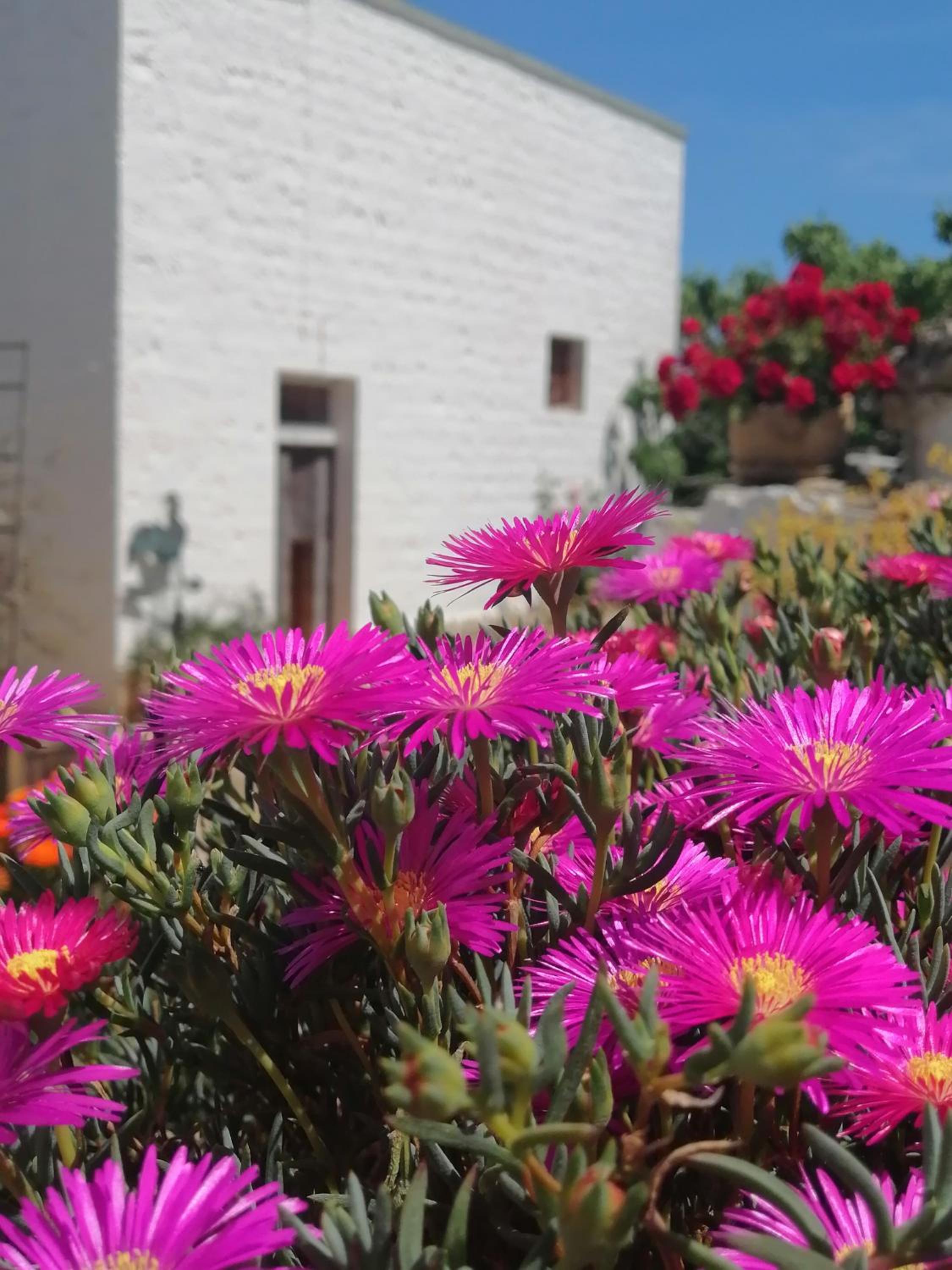 Trulli la casa di Rosa